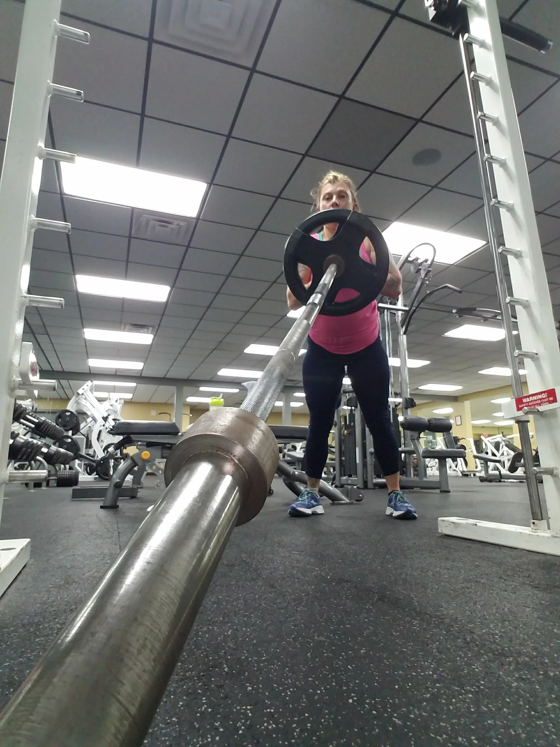 LANDMINE EXERCISES
