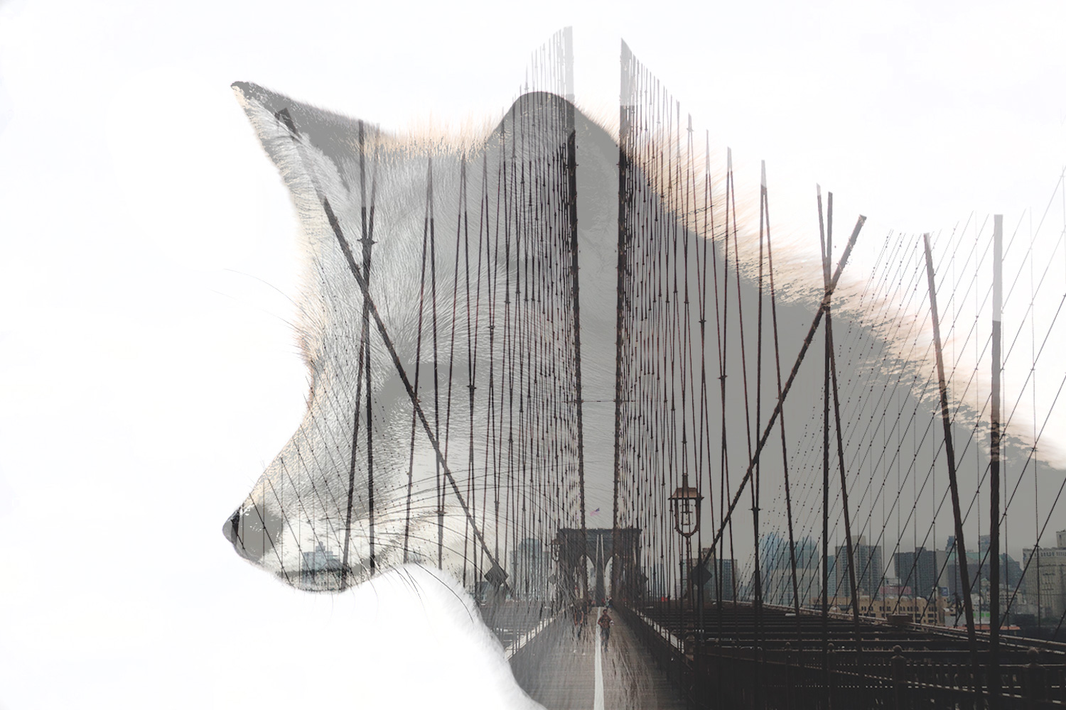 Fox_bridge-overlay.jpg