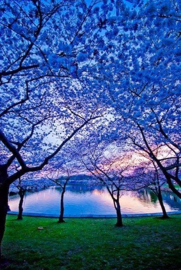 WE ARE WHAT WE THINK. ALL THAT WE ARE ARISES WITH OUR THOUGHTS. WITH OUR THOUGHTS WE MAKE THE WORLD. BUDDHA