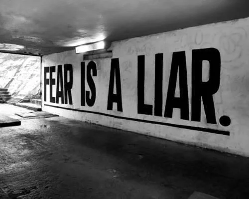 Fear is a Liar