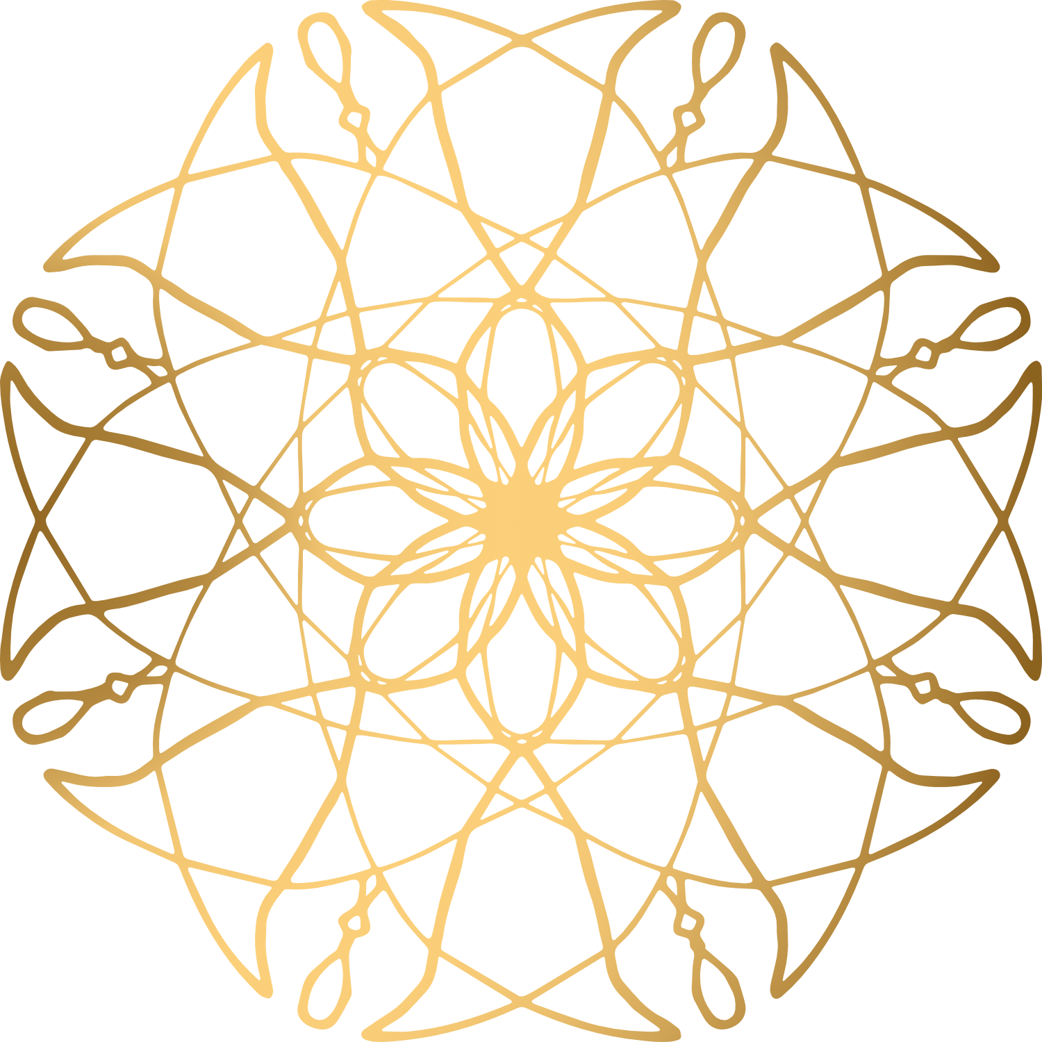 Lotus Live Design Creative Studio spinning mandala emblem