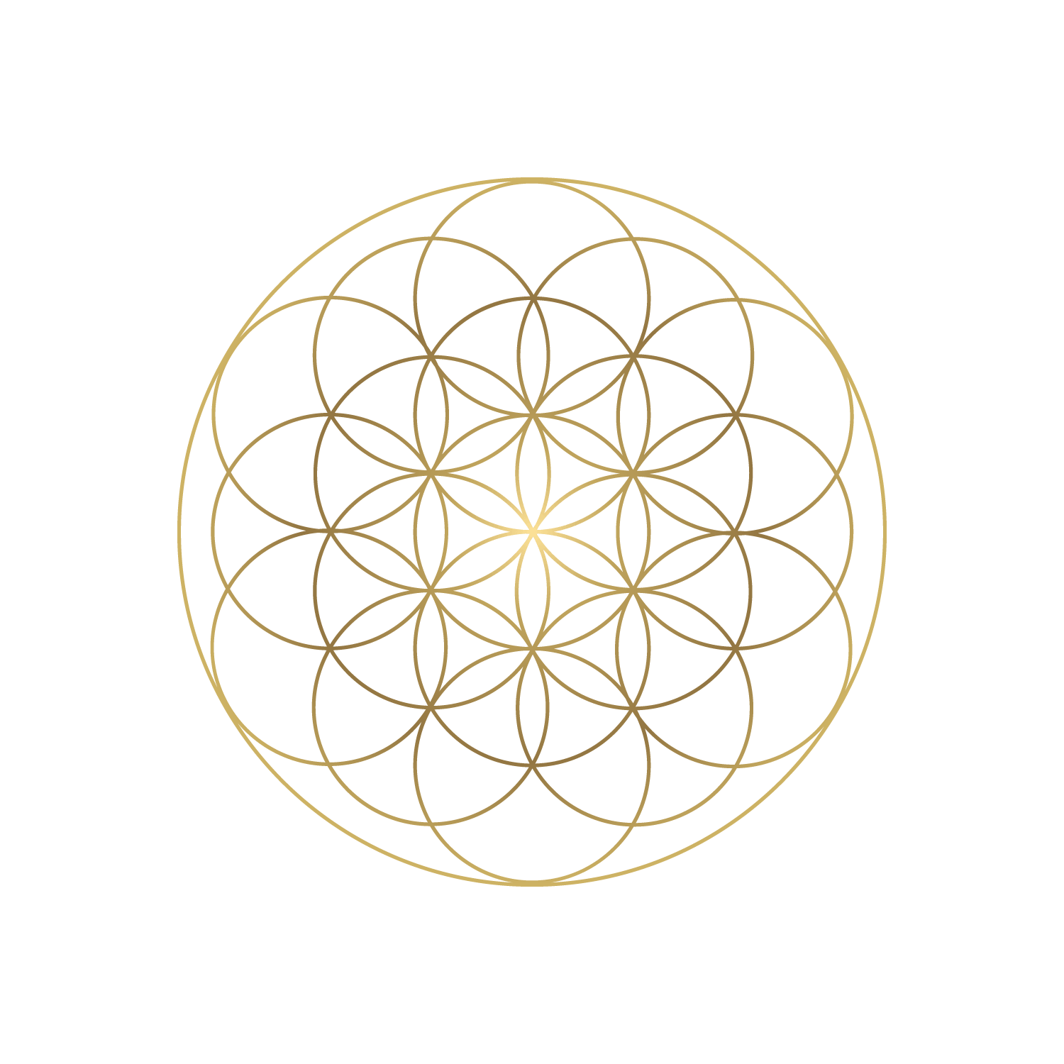 Premium SEO Monthly Services Package For Squarespace Sites