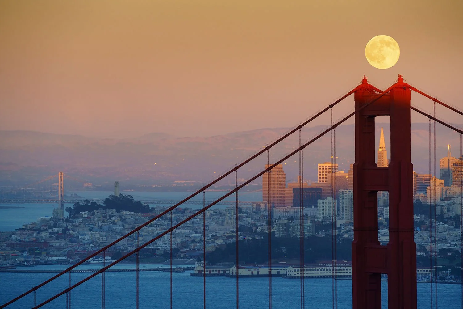 Lotus Live Design Creative is located in the San Francisco Bay Area, in Marin County, and offers expert website design, branding, SEO and marketing services
