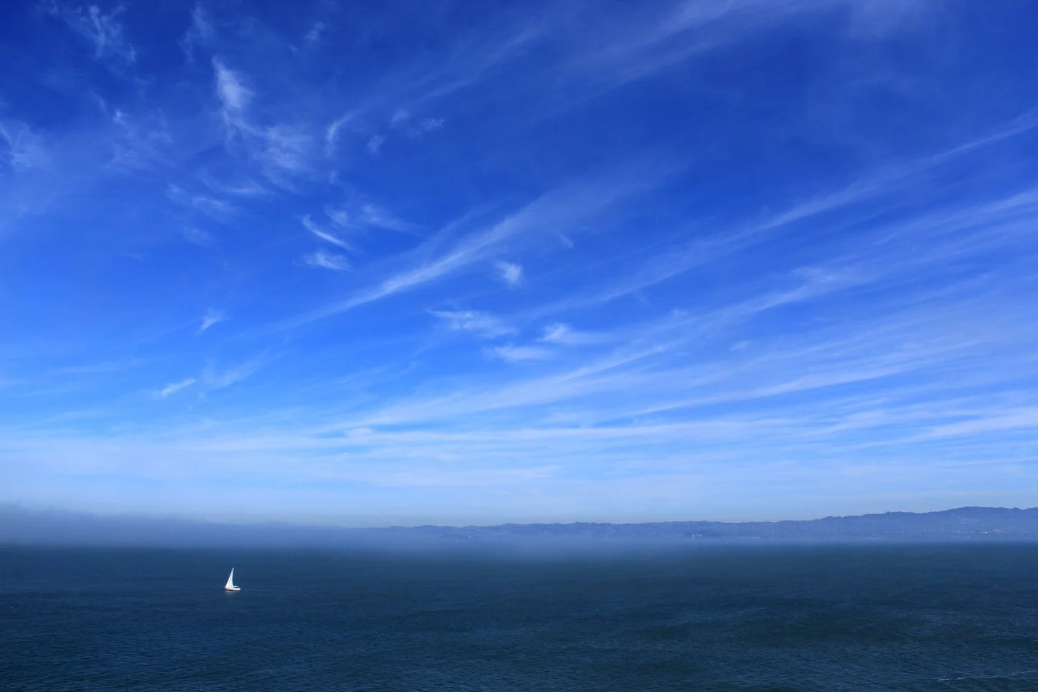 PHOTO CREDIT: MATTHEW KOSLOSKI ON UNSPLASH.COM