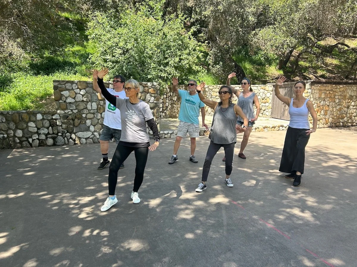 Group practicing Tai Chi
