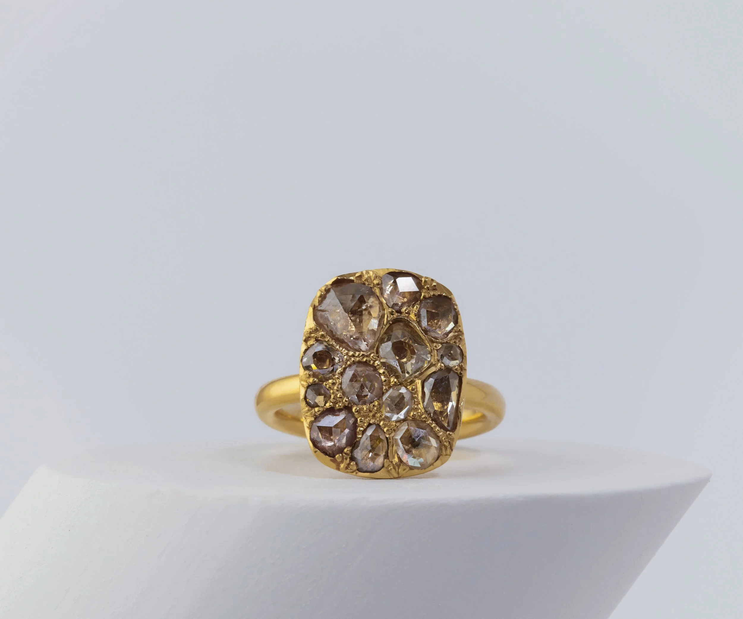 Into the Wild Ring - Extra