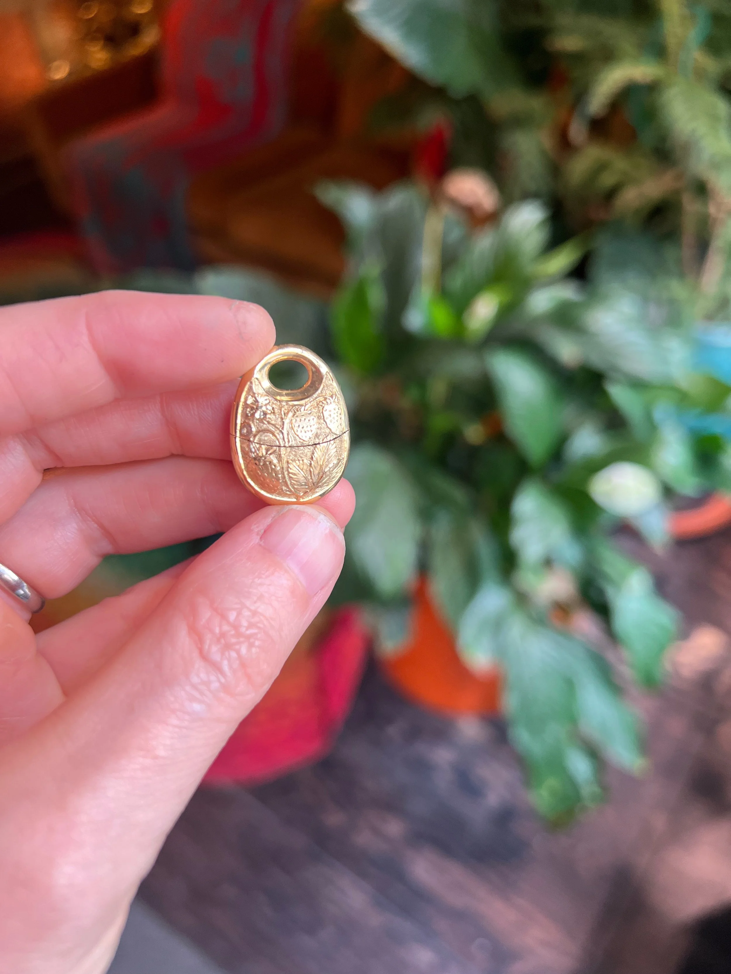 Podling strawberry - in hand.jpeg