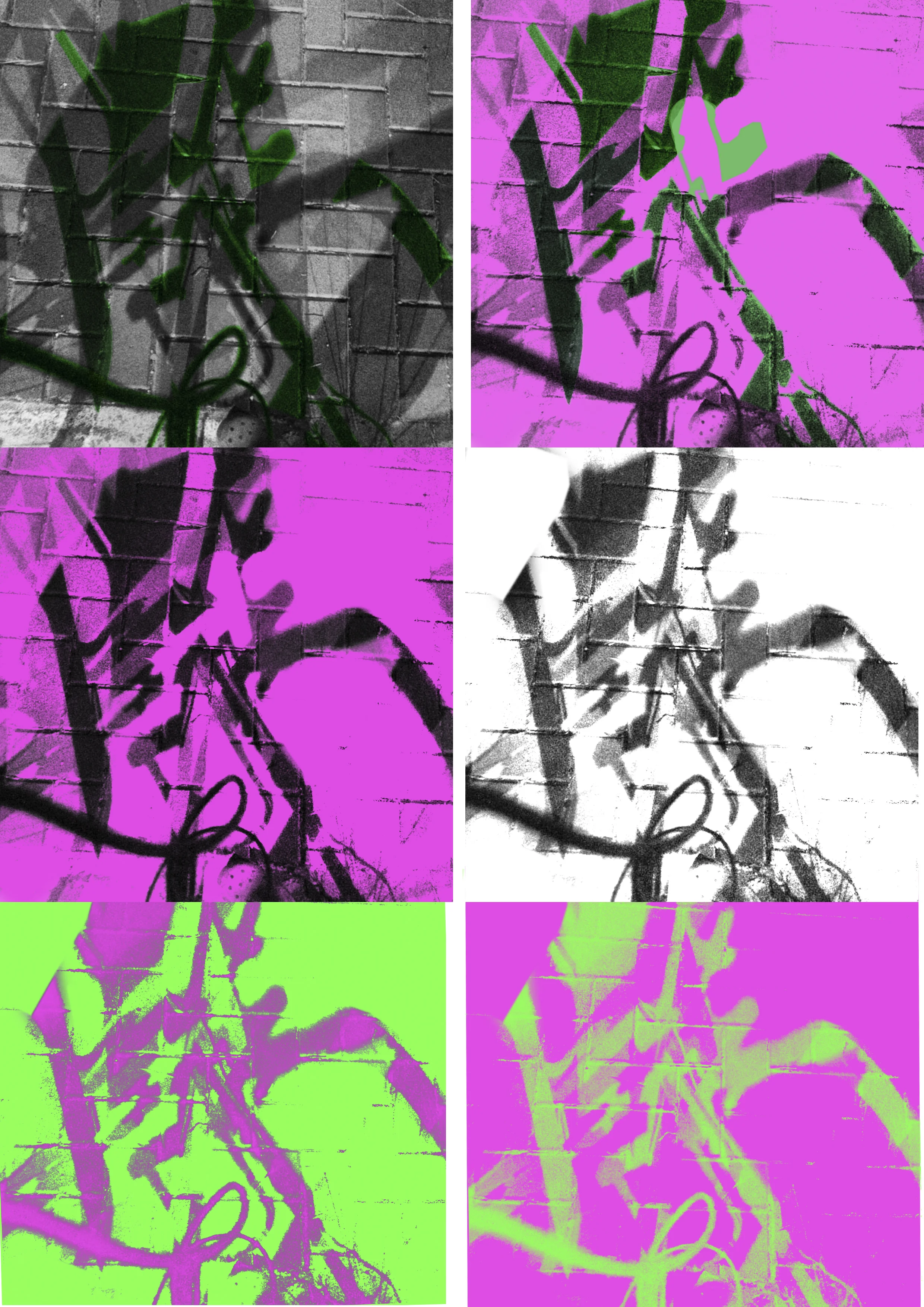 popart.jpg
