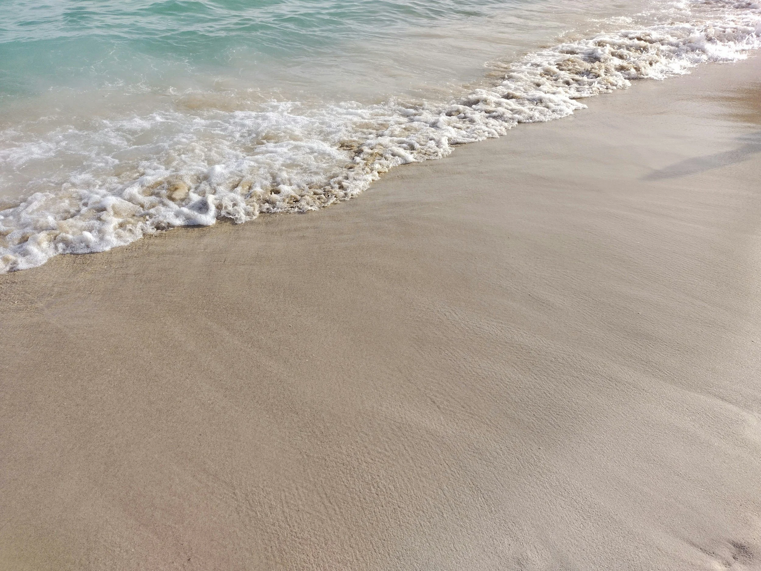 unsplash-image--uTMhw6-C8w.jpg