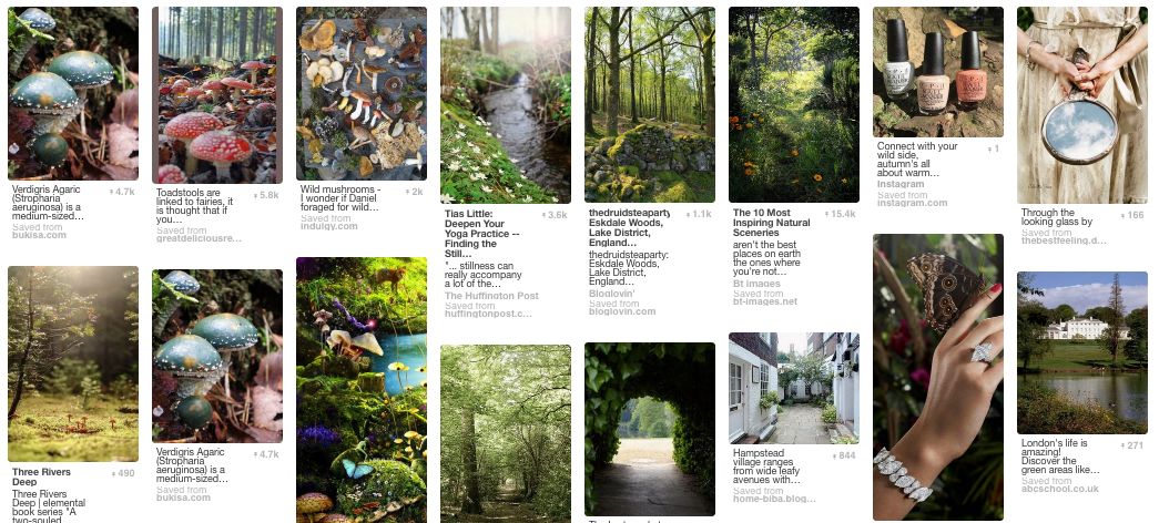 Wonderland/Forest inspiration