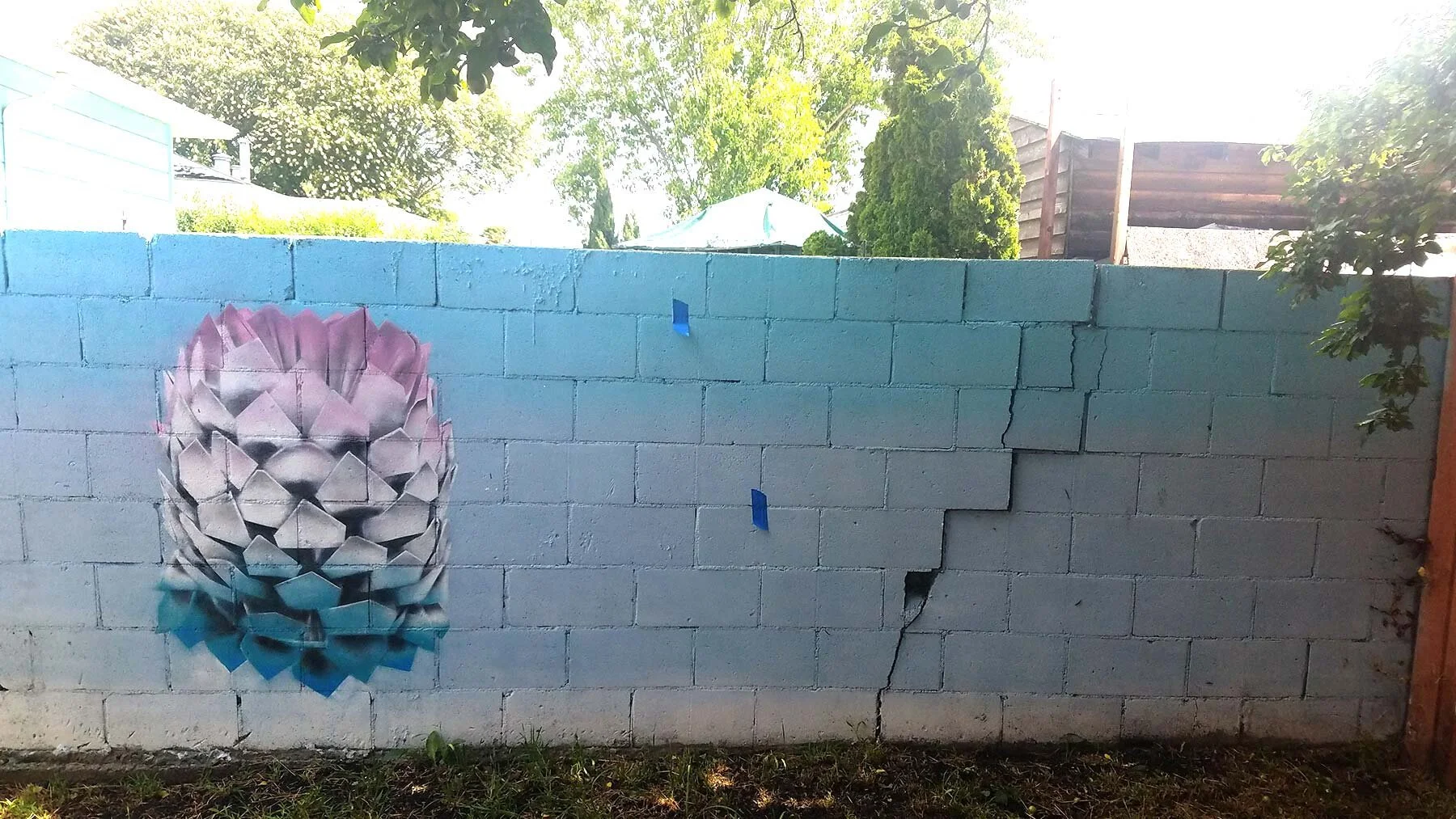 process7.jpg