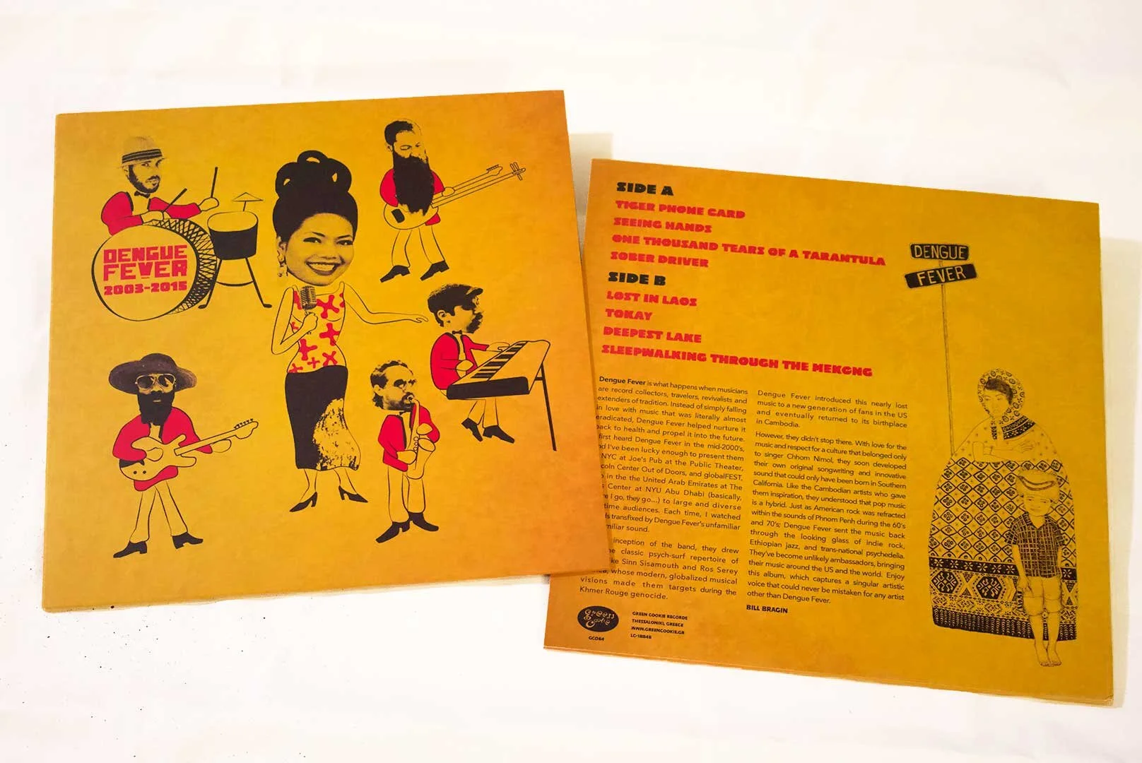 dengueFever-B.jpg
