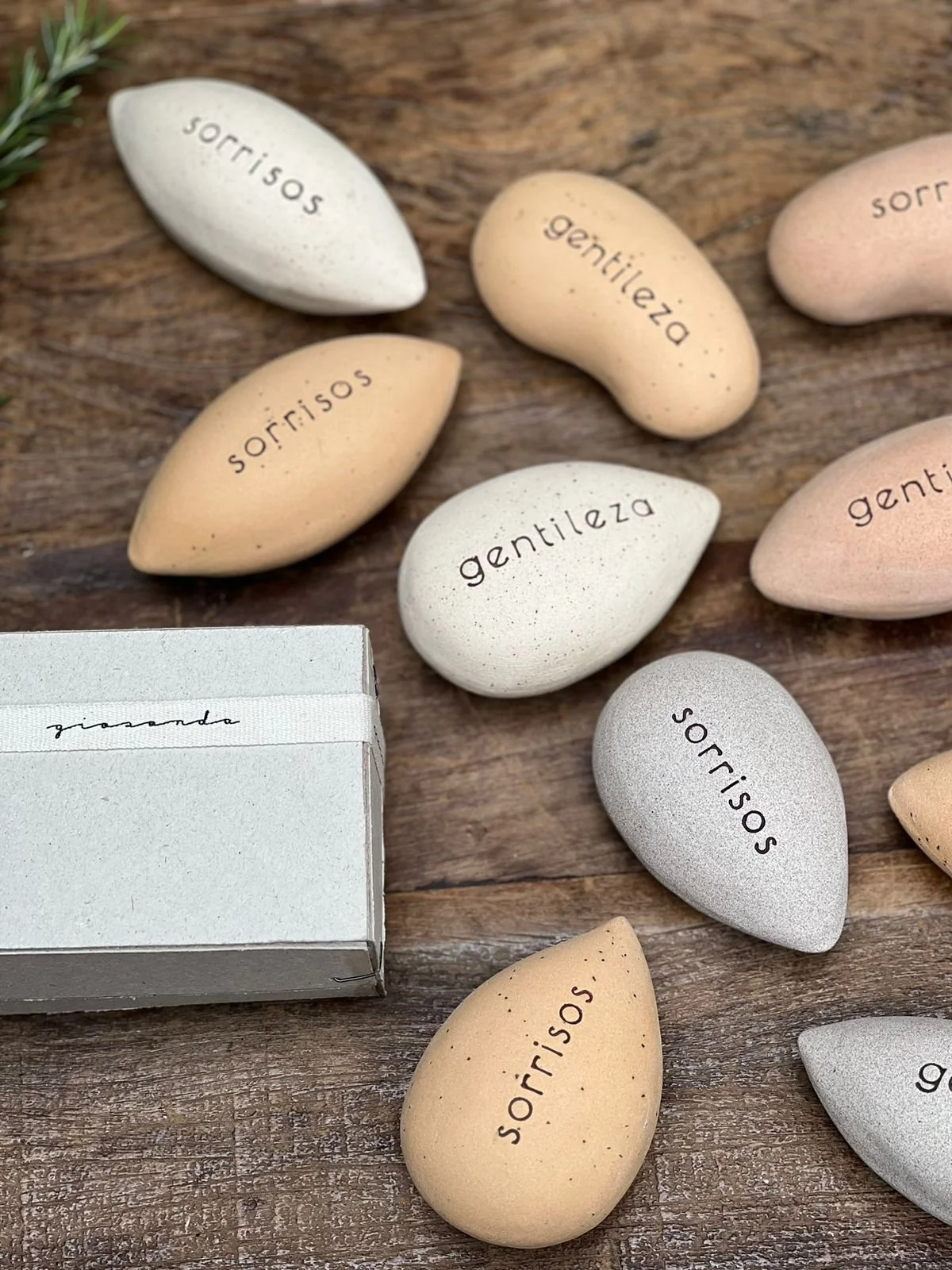 Foto4 -  Fim de semana na casa de amigos.jpeg