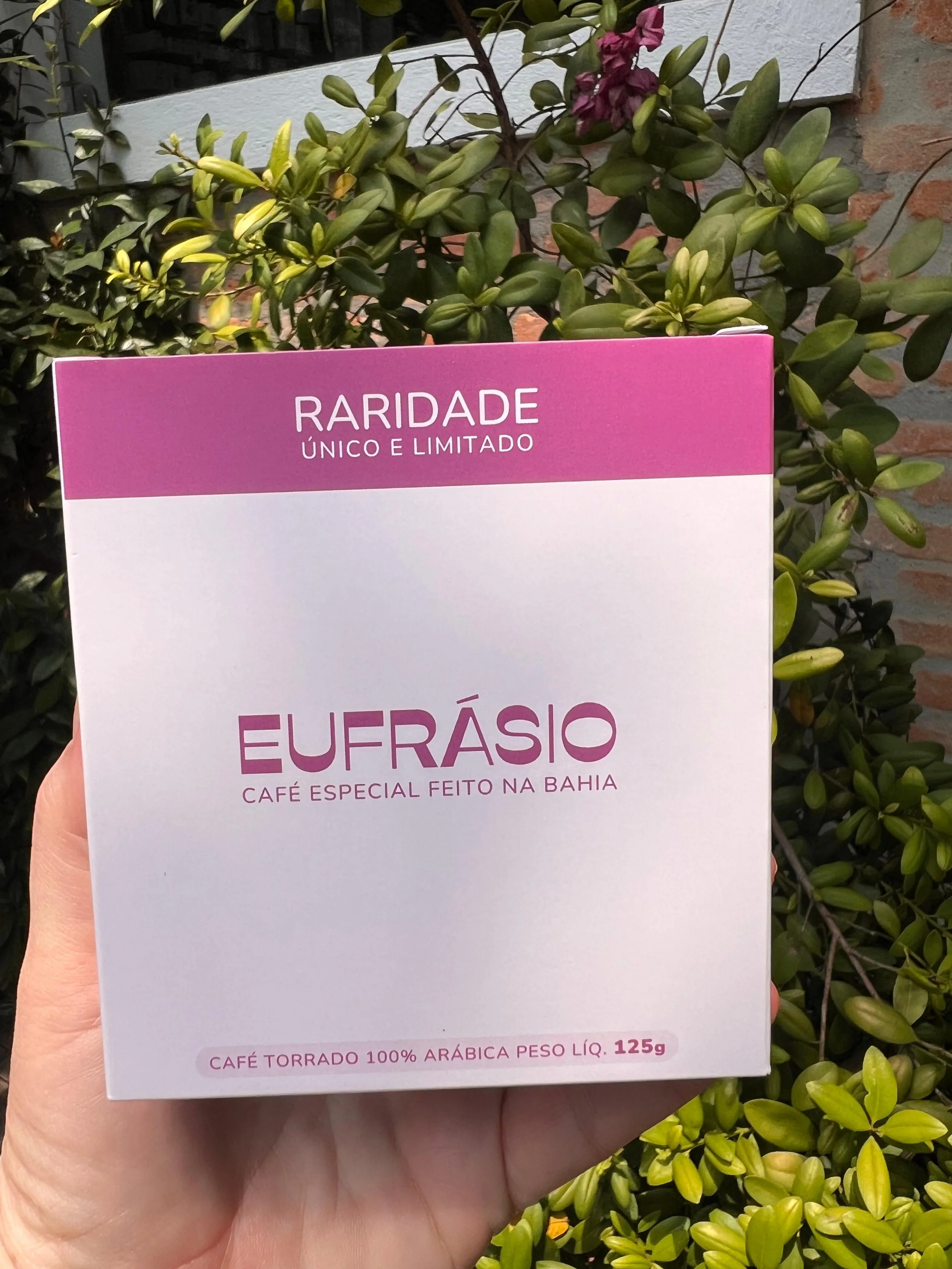 WhatsApp Image 2025-10-03 at 12.33.15-3.jpeg