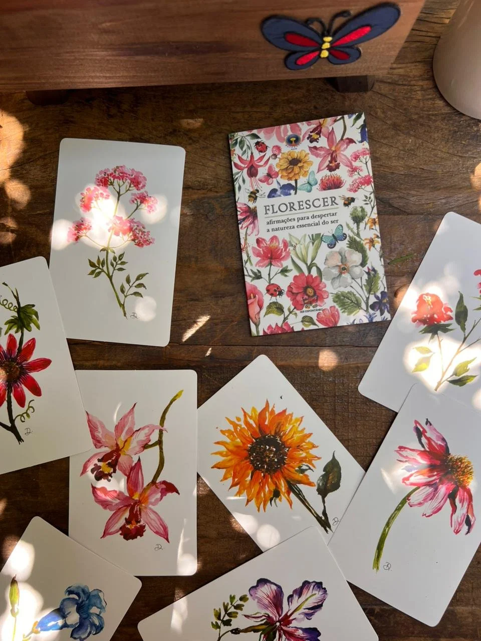 WhatsApp Image 2025-11-19 at 11.34.11-2.jpeg