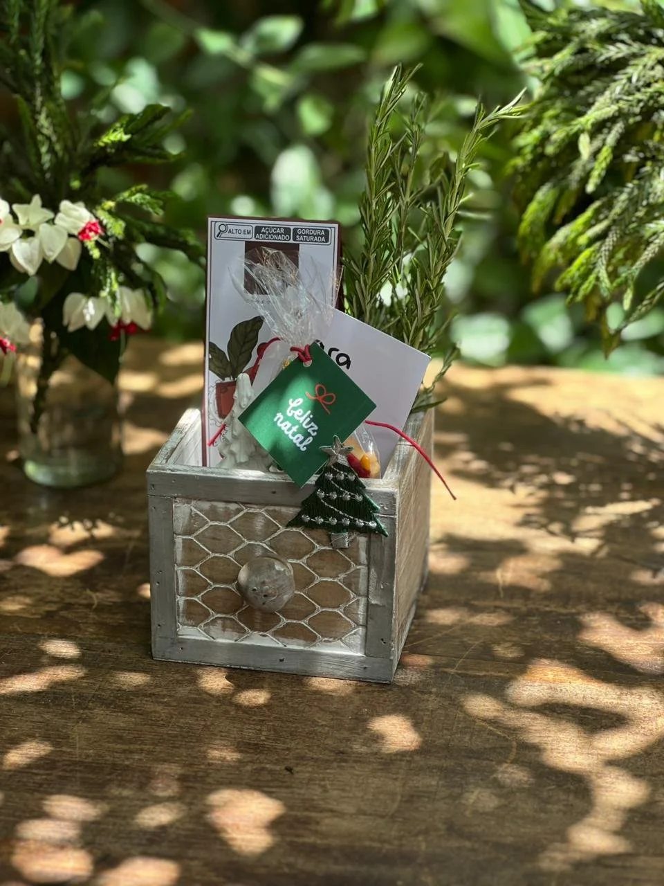 WhatsApp Image 2025-11-19 at 12.32.17.jpeg