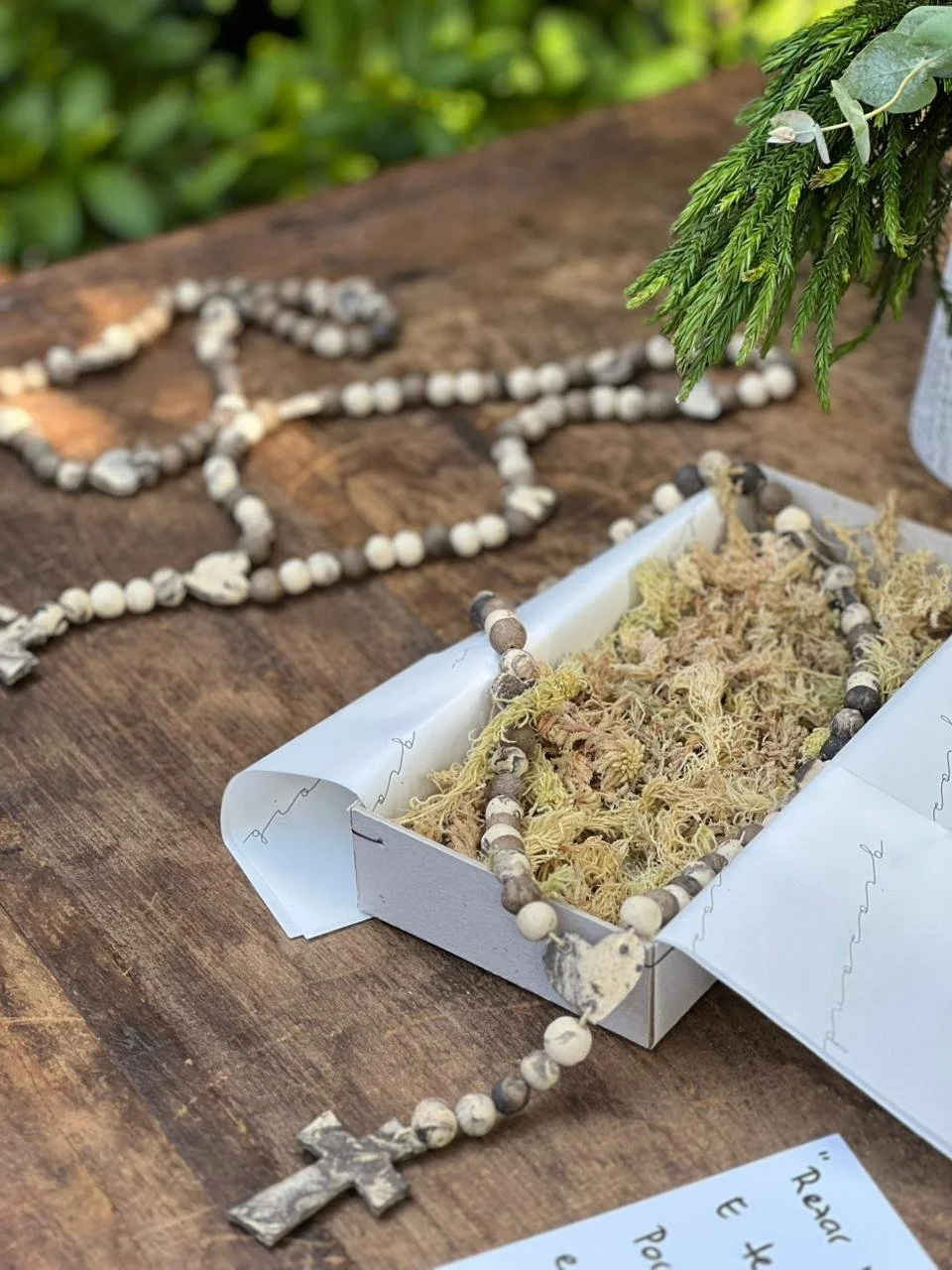 WhatsApp Image 2025-11-19 at 15.16.57.jpeg