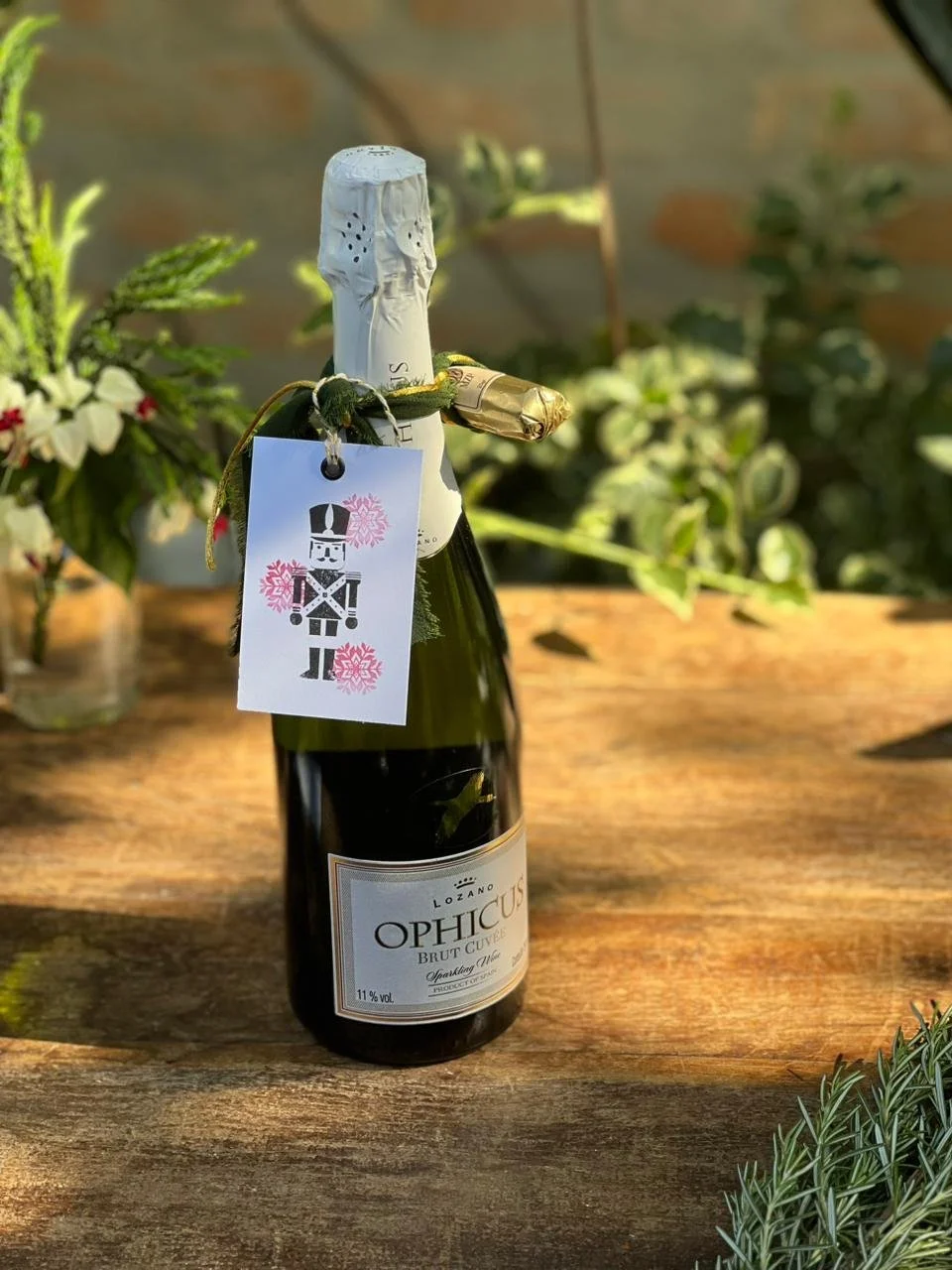 WhatsApp Image 2025-11-19 at 15.37.16.jpeg