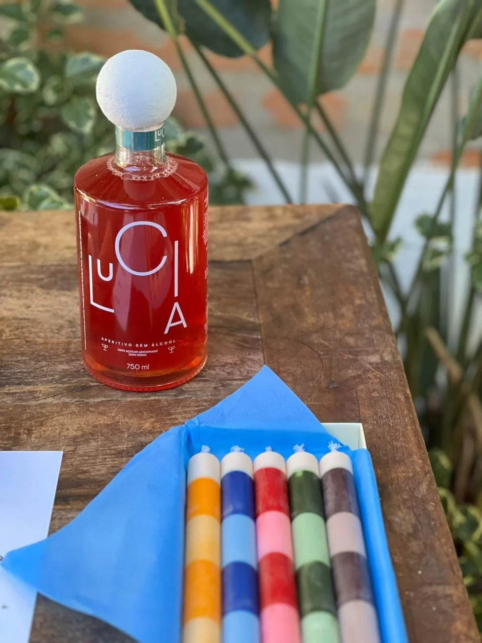 WhatsApp Image 2025-11-19 at 16.08.02 - cópia.jpeg