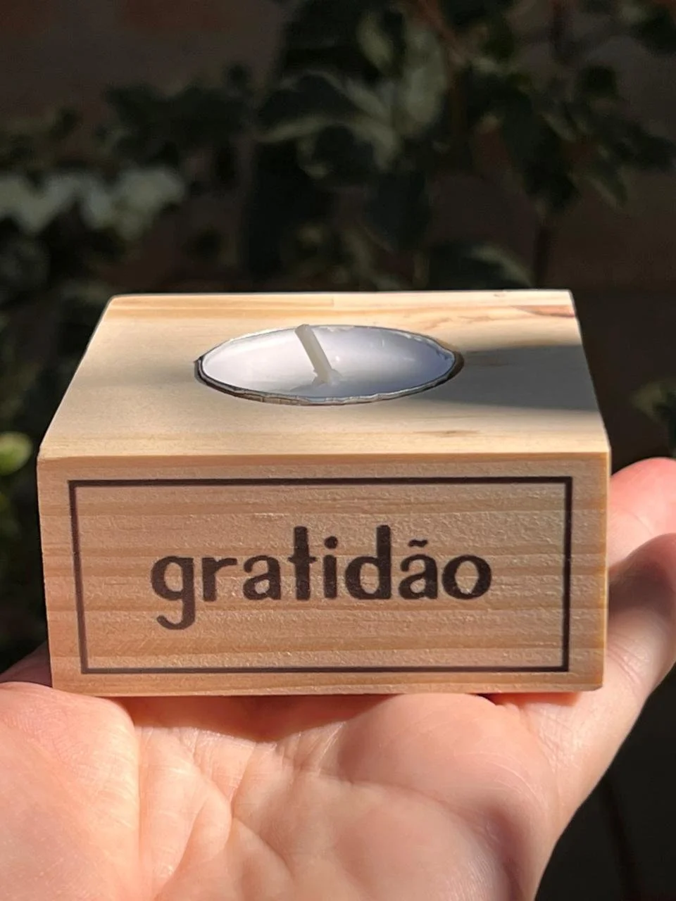 WhatsApp Image 2025-11-19 at 15.34.47.jpeg