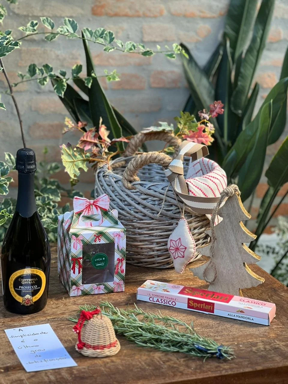 WhatsApp Image 2025-11-19 at 15.31.19-3.jpeg