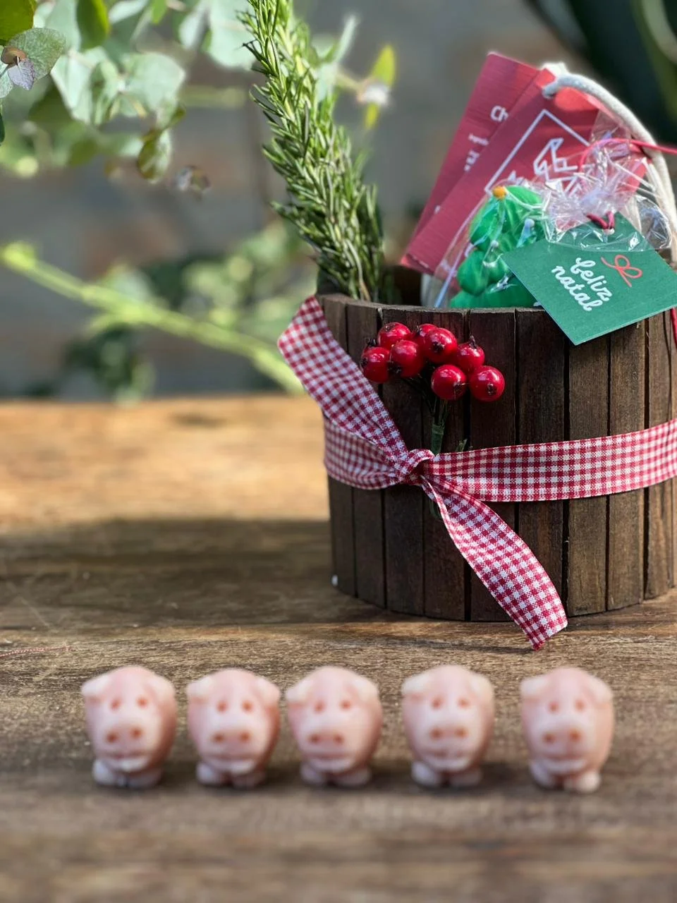 WhatsApp Image 2025-11-19 at 15.52.09.jpeg