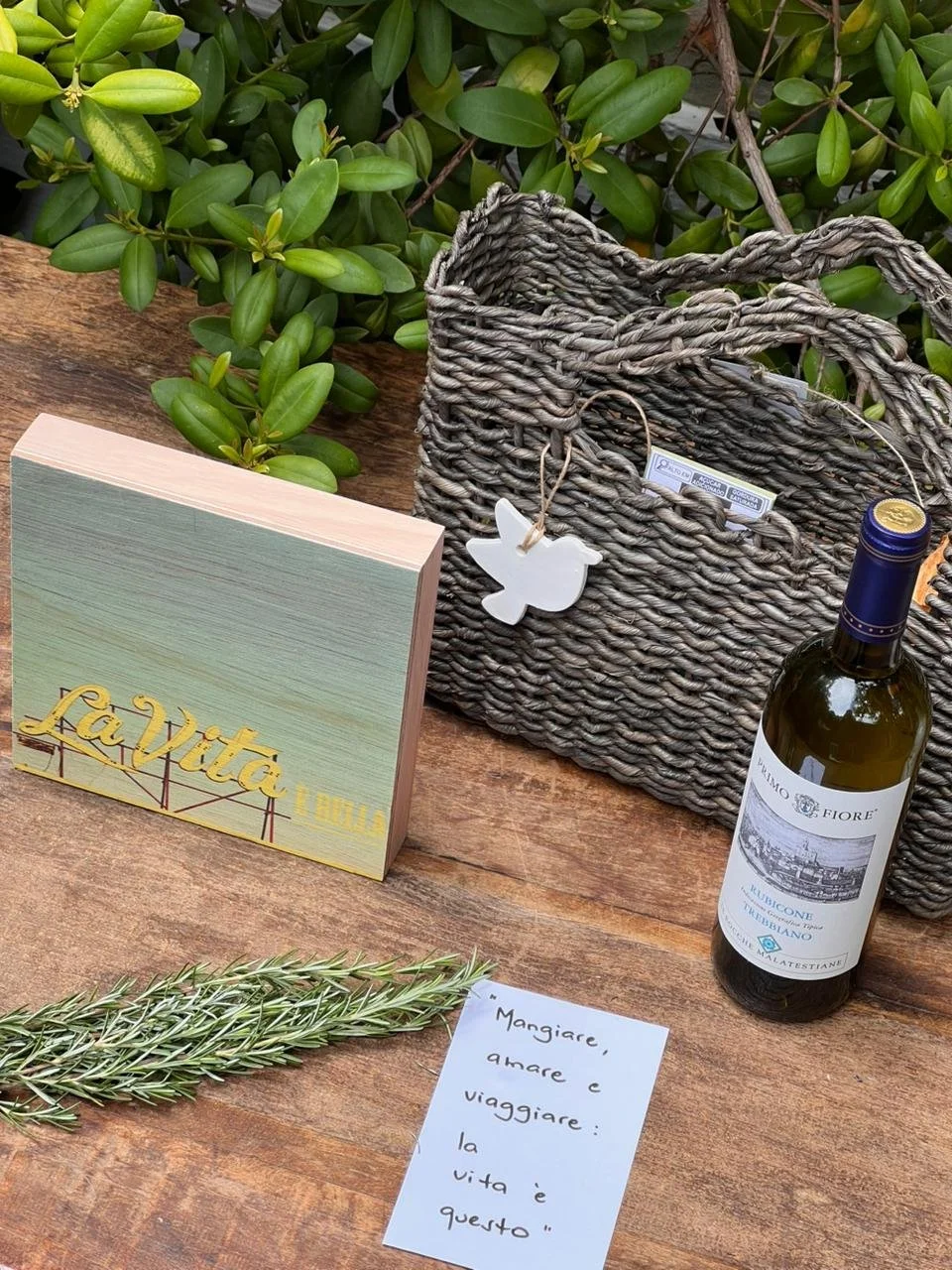 WhatsApp Image 2025-11-20 at 10.45.27-3.jpeg