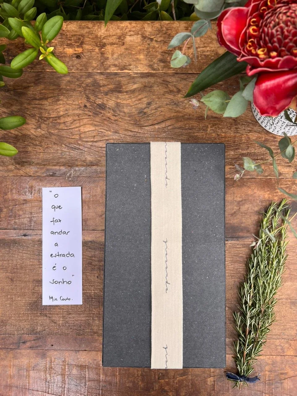 WhatsApp Image 2025-11-20 at 10.53.42 - cópia.jpeg