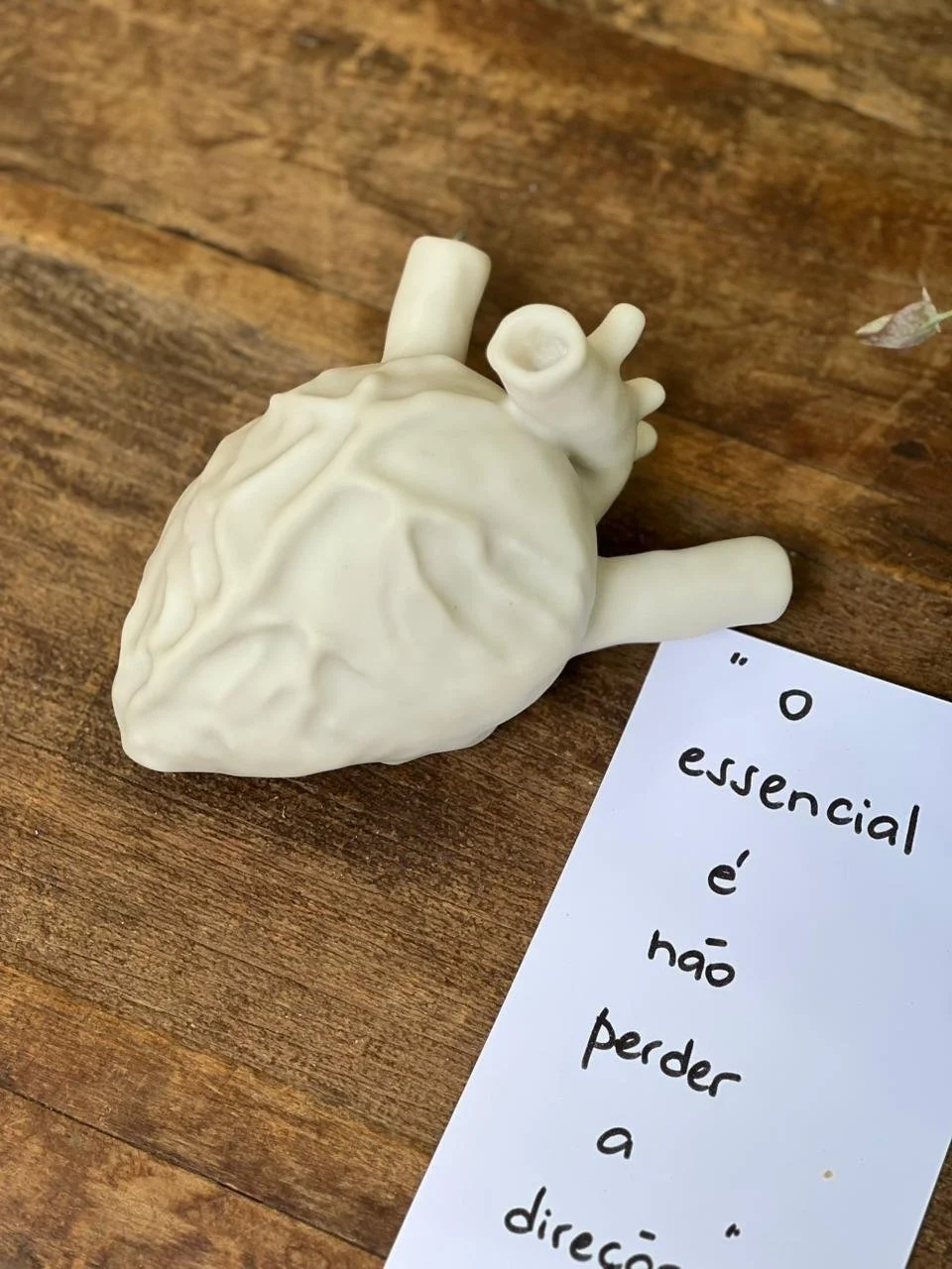 WhatsApp Image 2025-11-20 at 11.15.31-2.jpeg