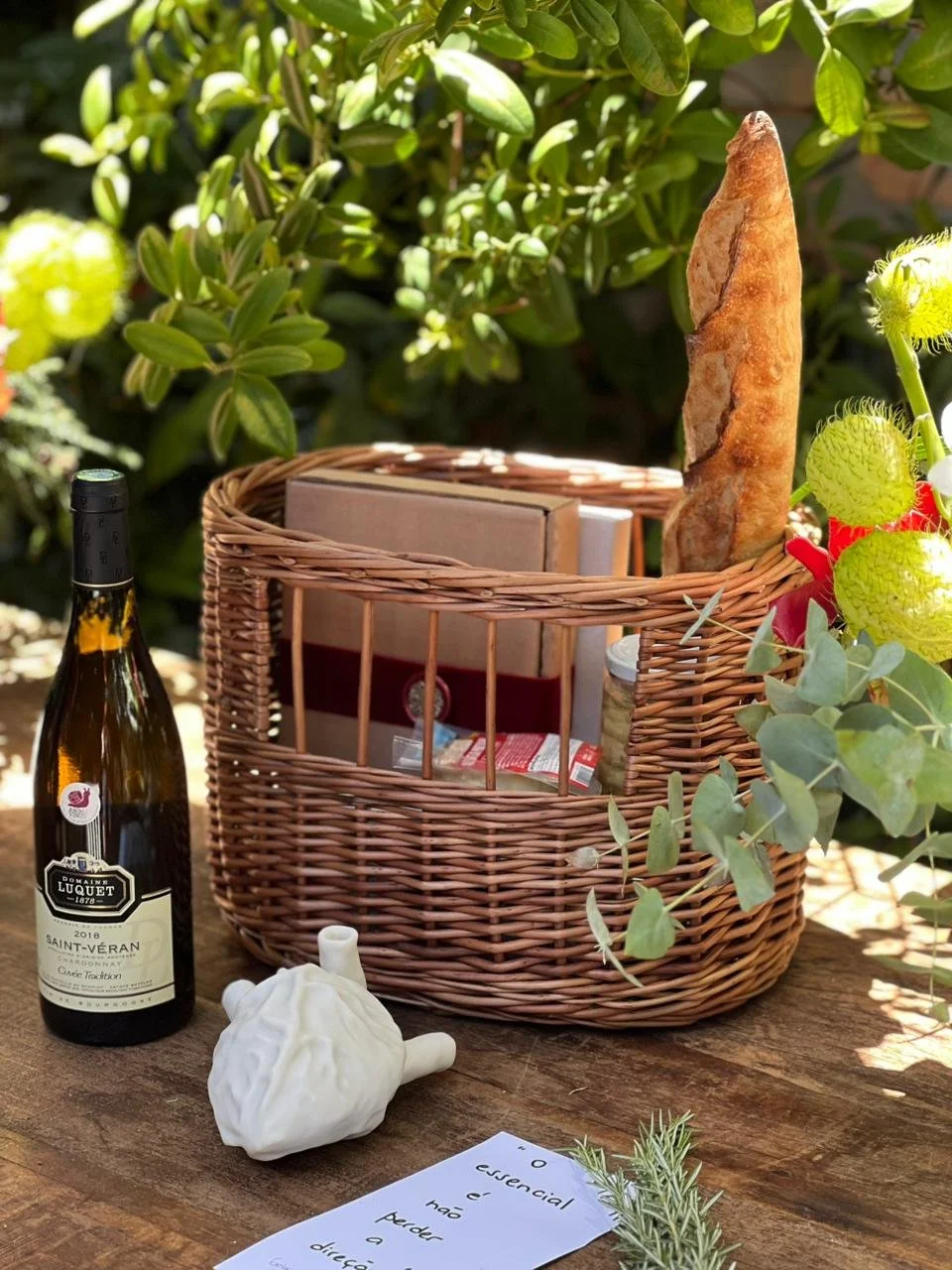 WhatsApp Image 2025-11-20 at 11.15.32.jpeg