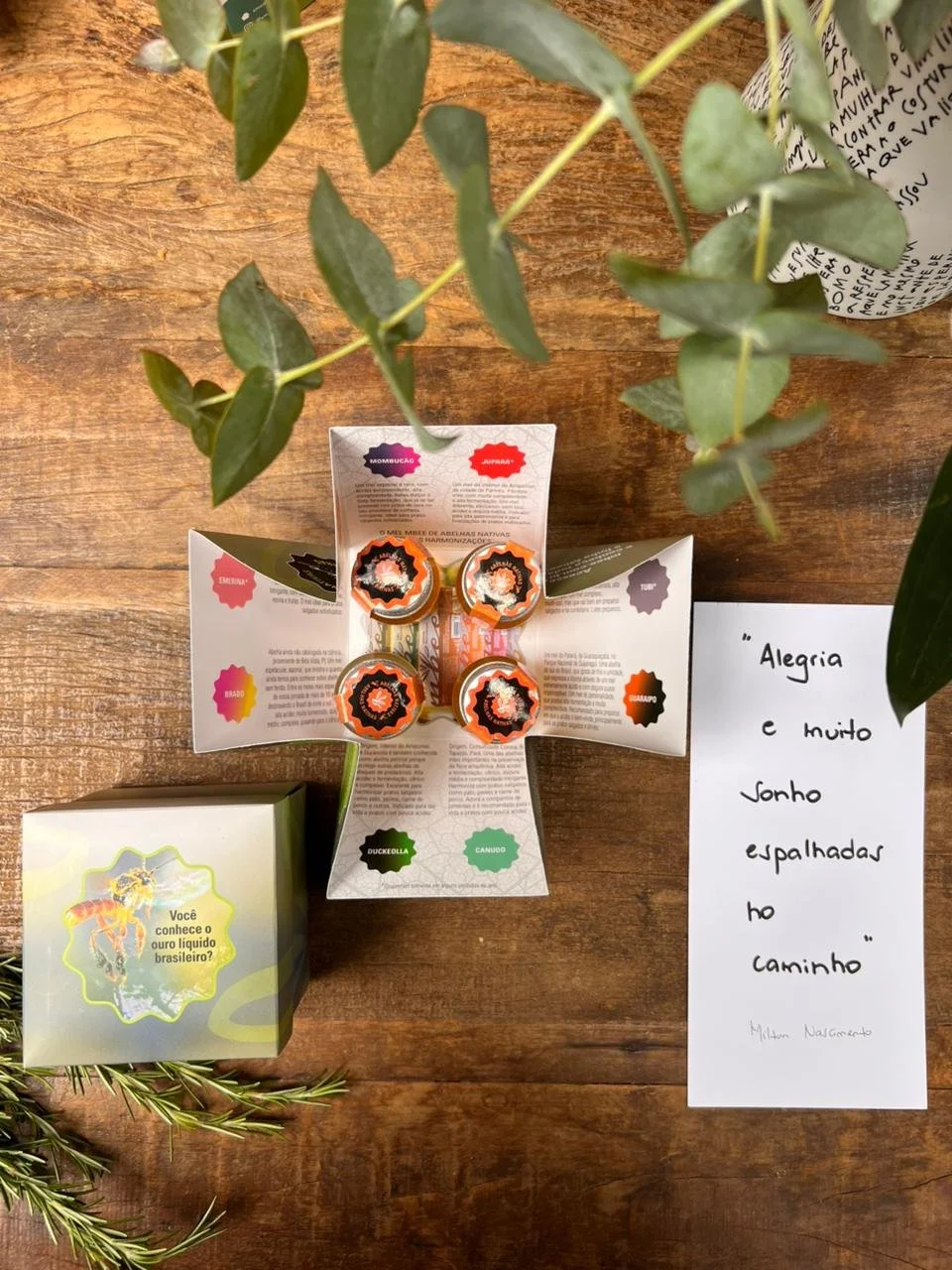 WhatsApp Image 2025-11-20 at 12.13.23-2.jpeg