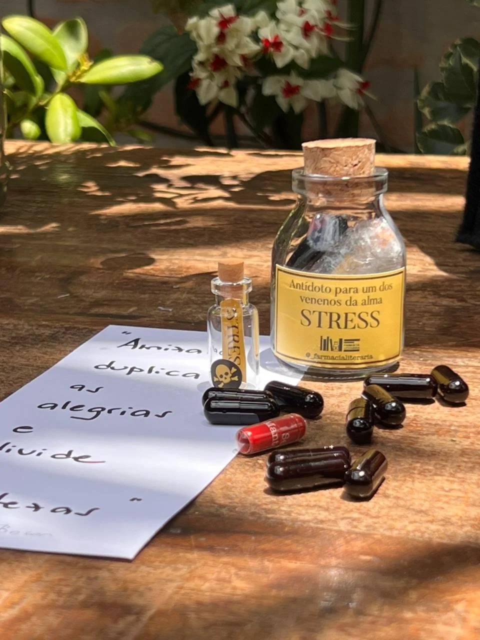 WhatsApp Image 2025-11-20 at 12.41.05.jpeg