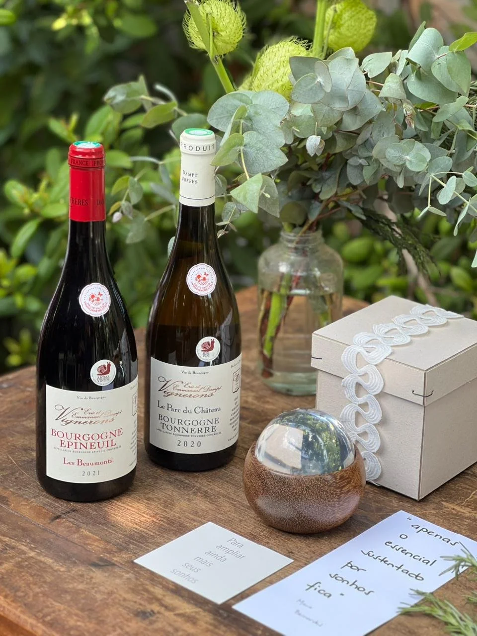 WhatsApp Image 2025-11-20 at 14.17.39.jpeg