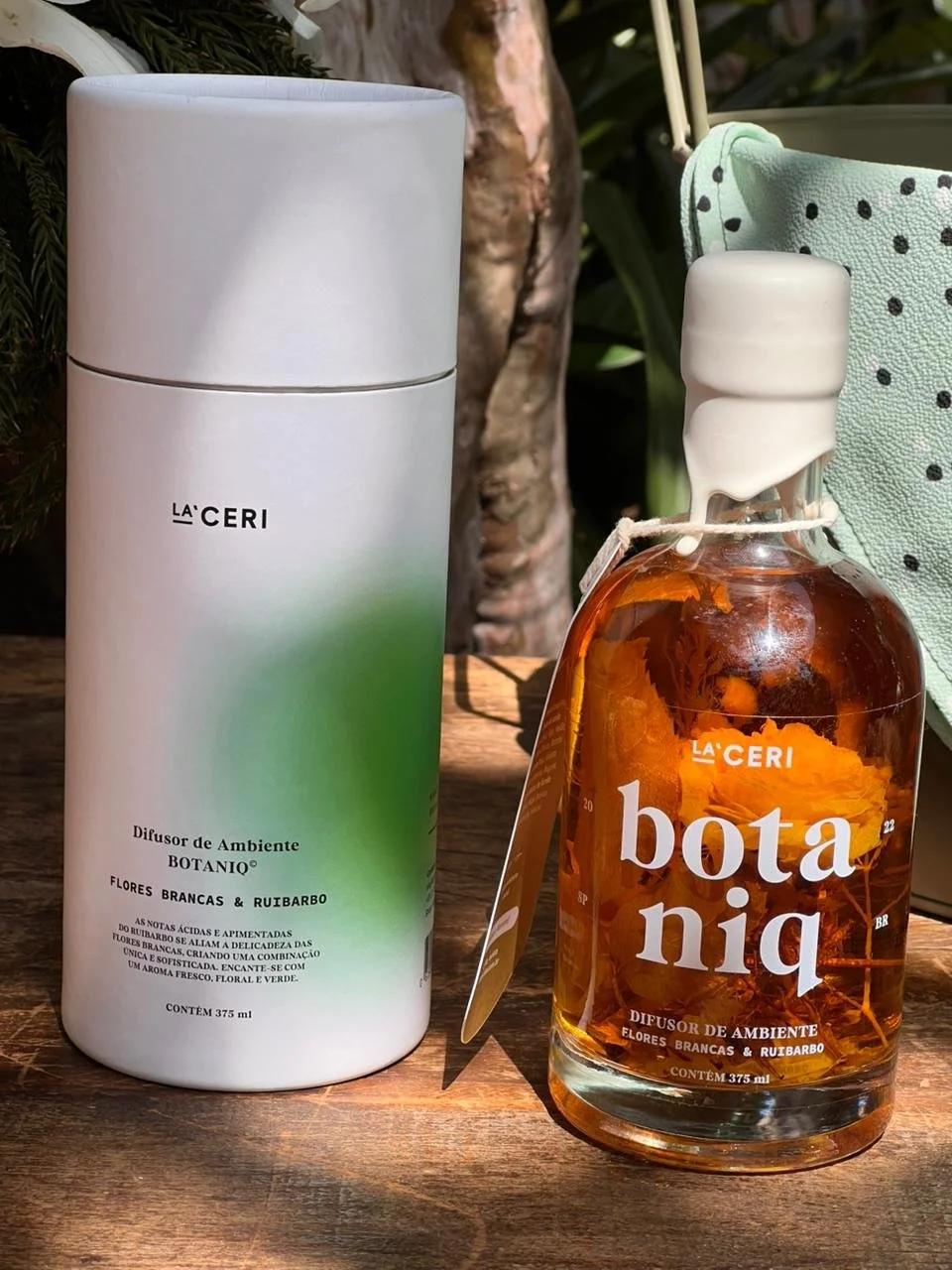 WhatsApp Image 2025-11-20 at 14.56.49-2.jpeg