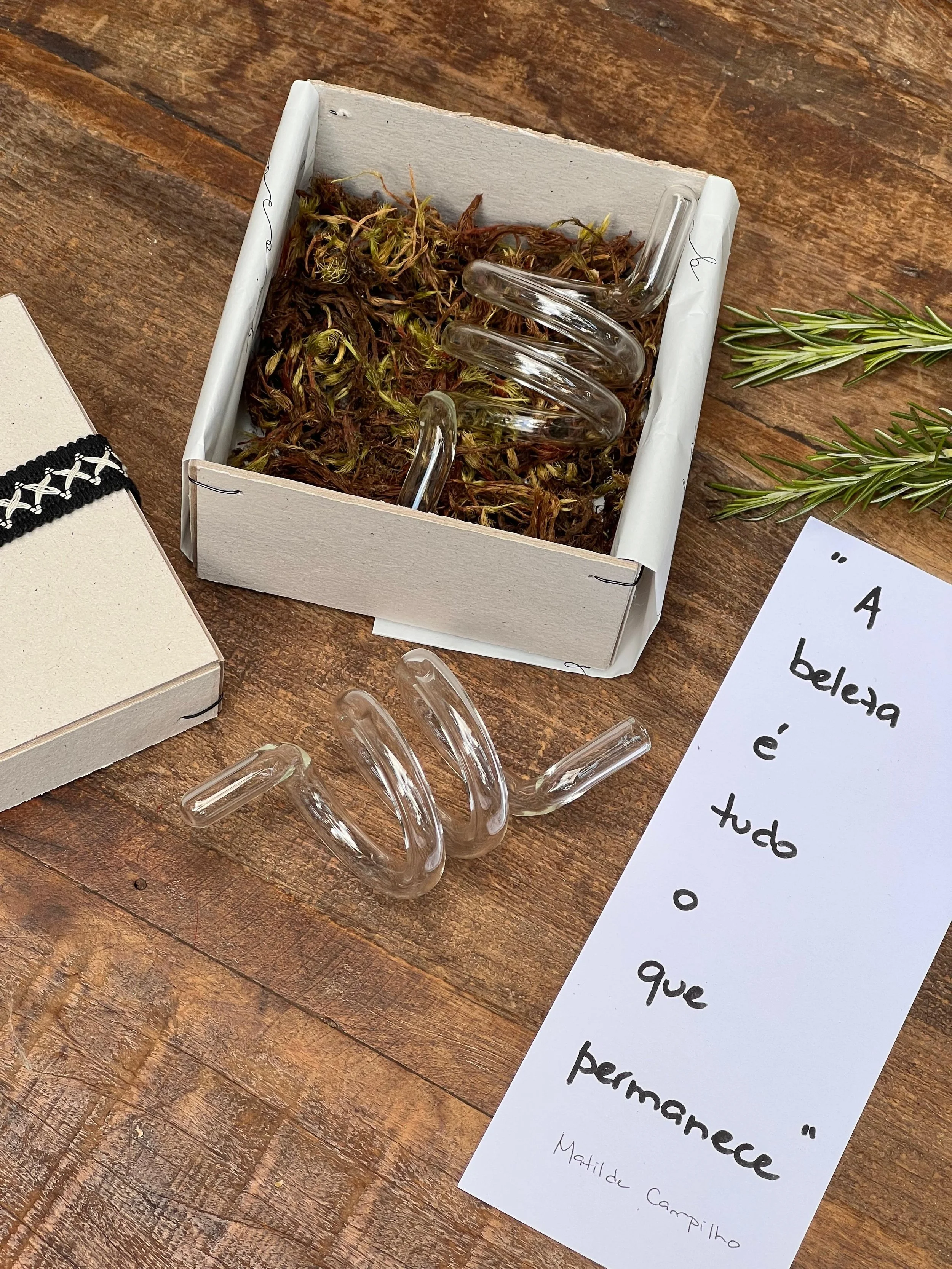 WhatsApp Image 2025-11-20 at 15.49.31-2.jpeg