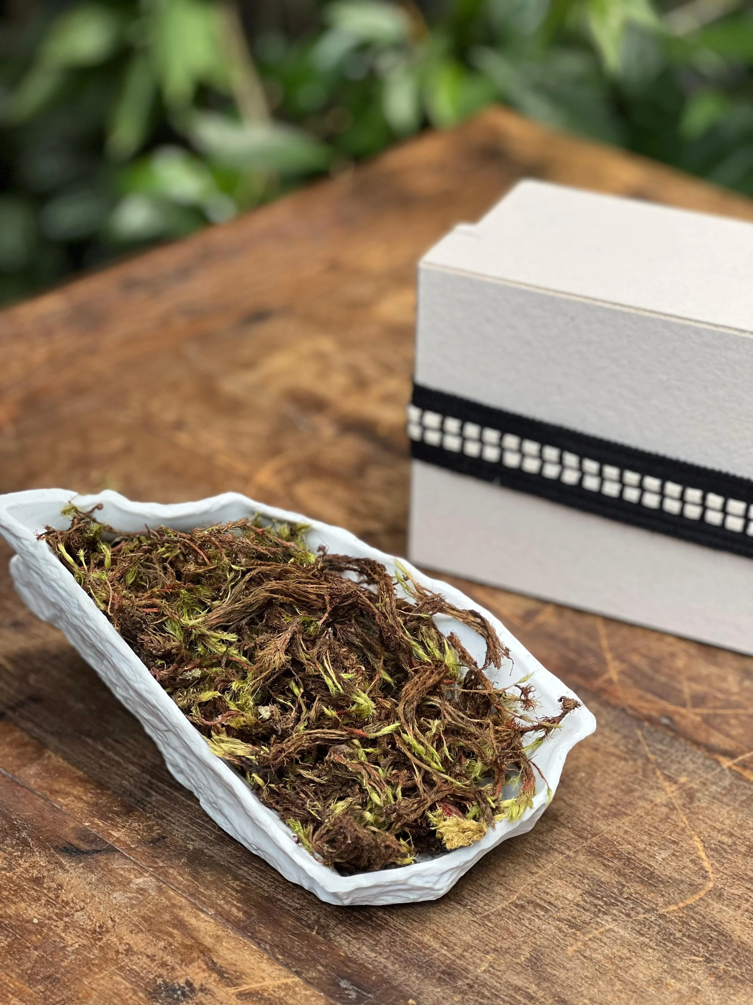 WhatsApp Image 2025-11-20 at 15.49.31-4.jpeg