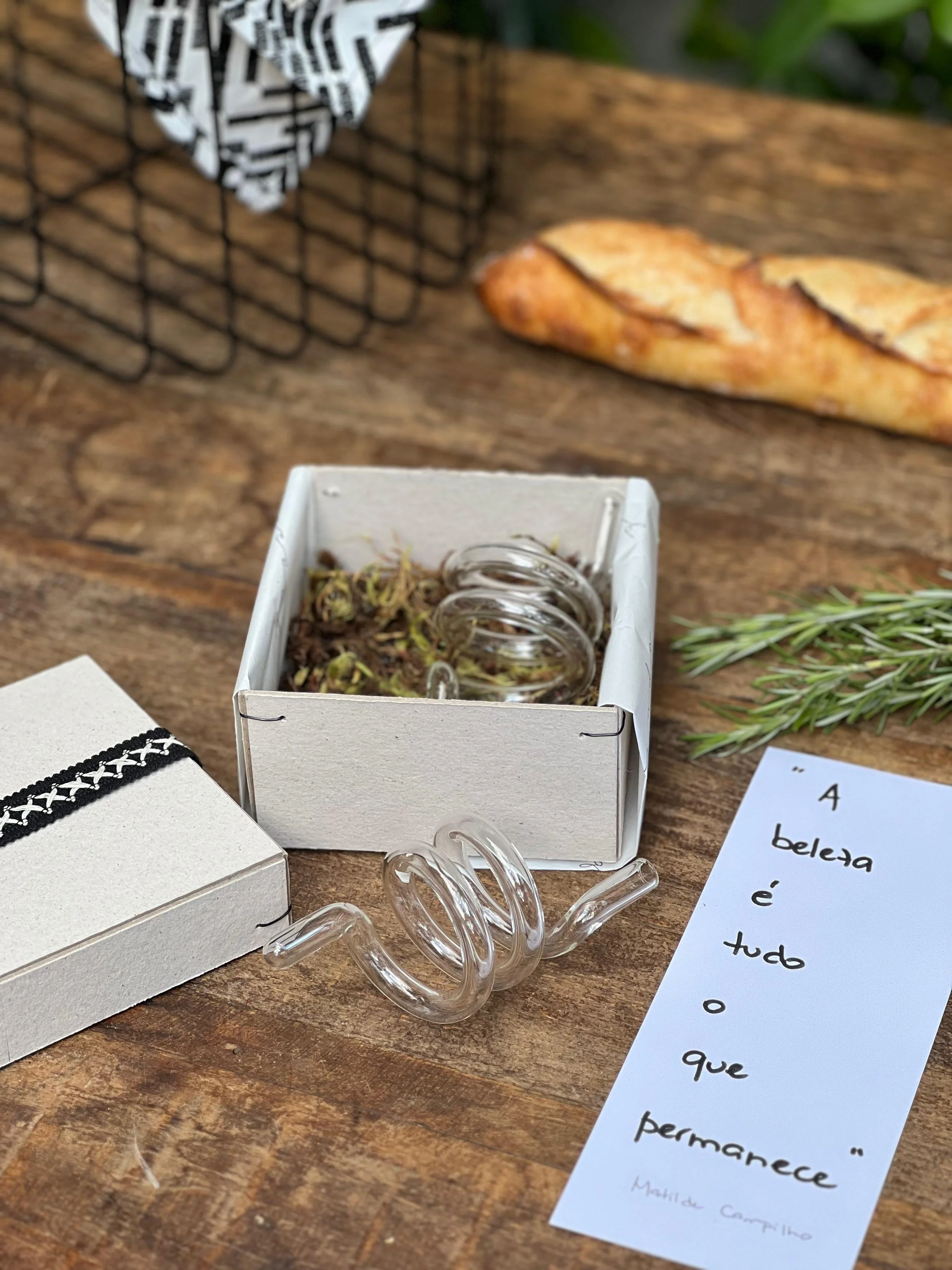 WhatsApp Image 2025-11-20 at 15.49.31.jpeg