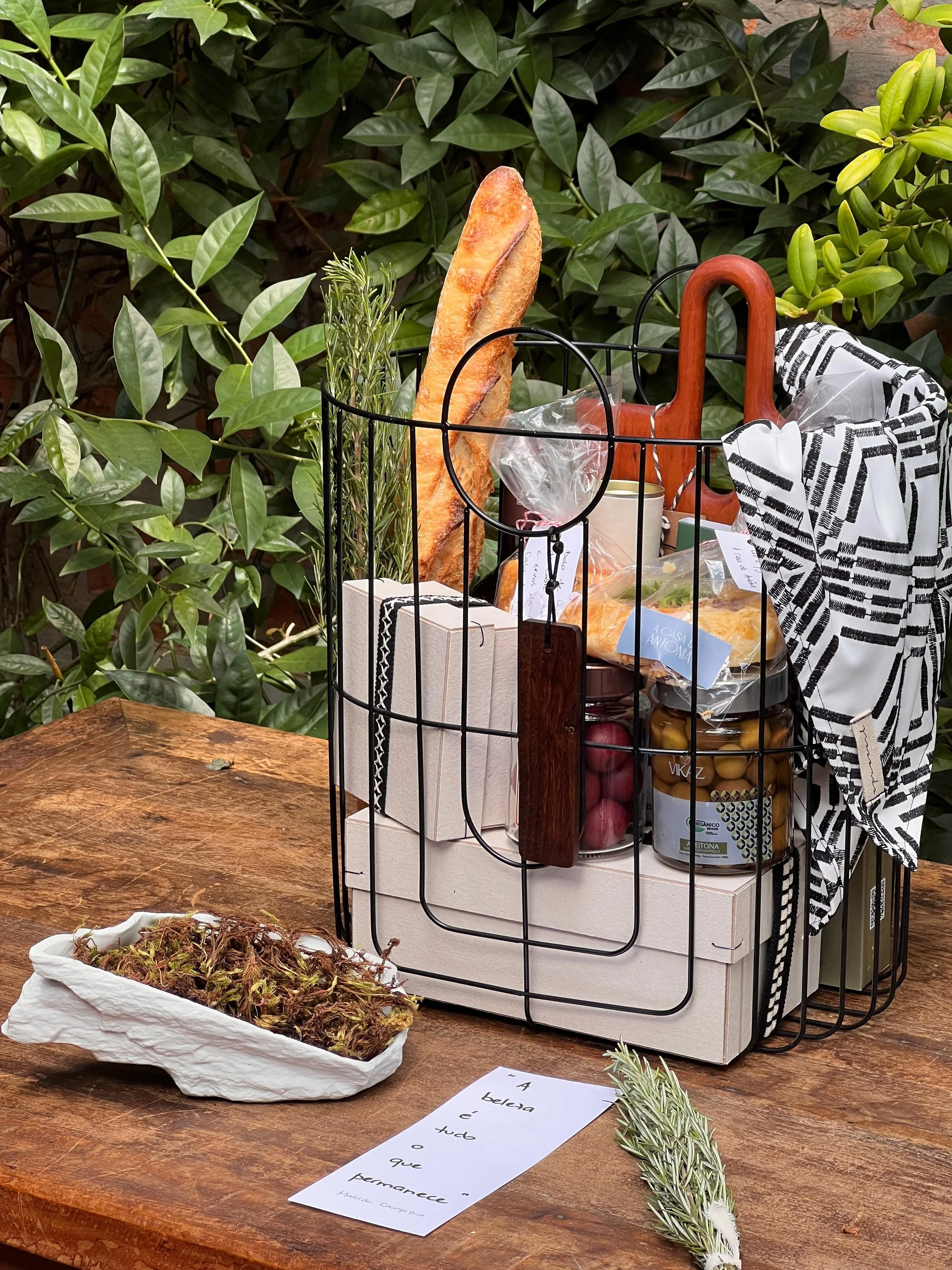 WhatsApp Image 2025-11-20 at 15.49.32 - cópia.jpeg