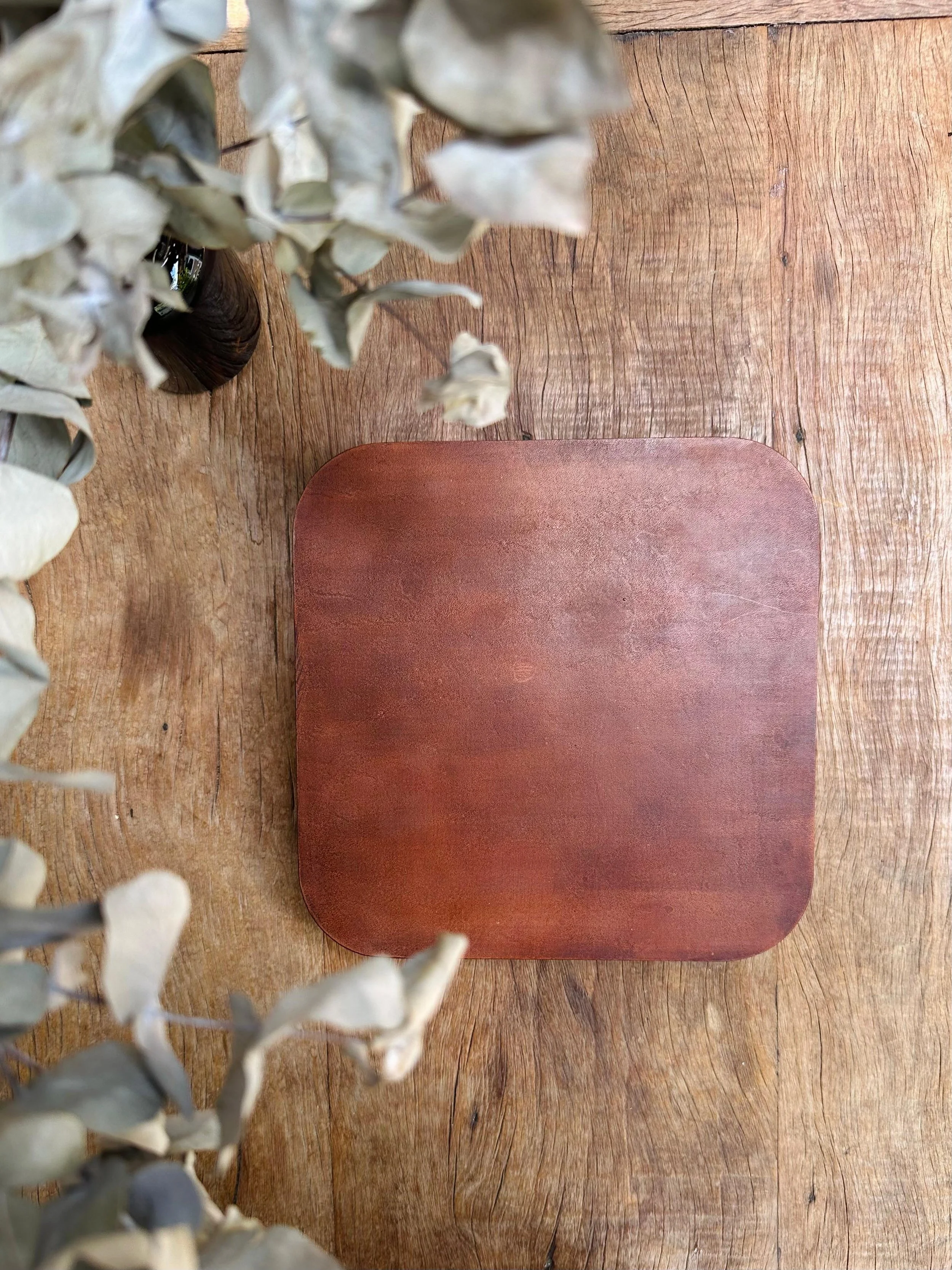 WhatsApp Image 2026-02-10 at 15.36.49-4.jpeg