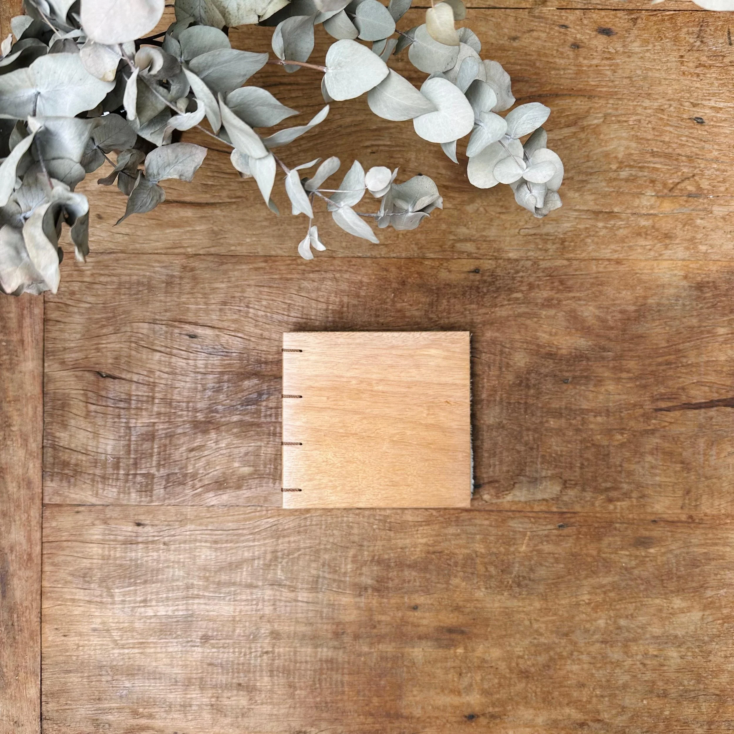 WhatsApp Image 2026-02-10 at 15.40.19.jpeg