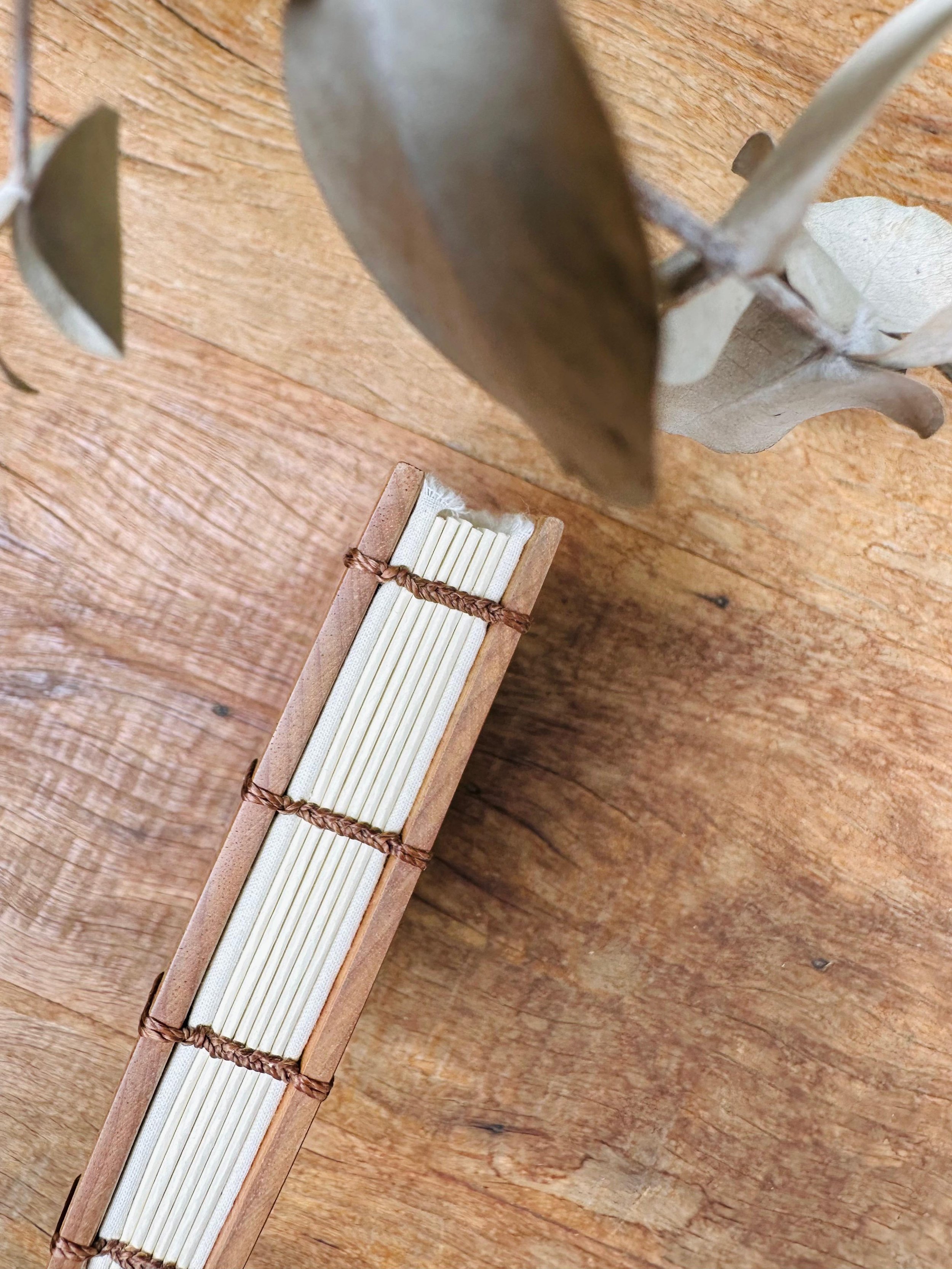 WhatsApp Image 2026-02-10 at 15.40.21-3.jpeg