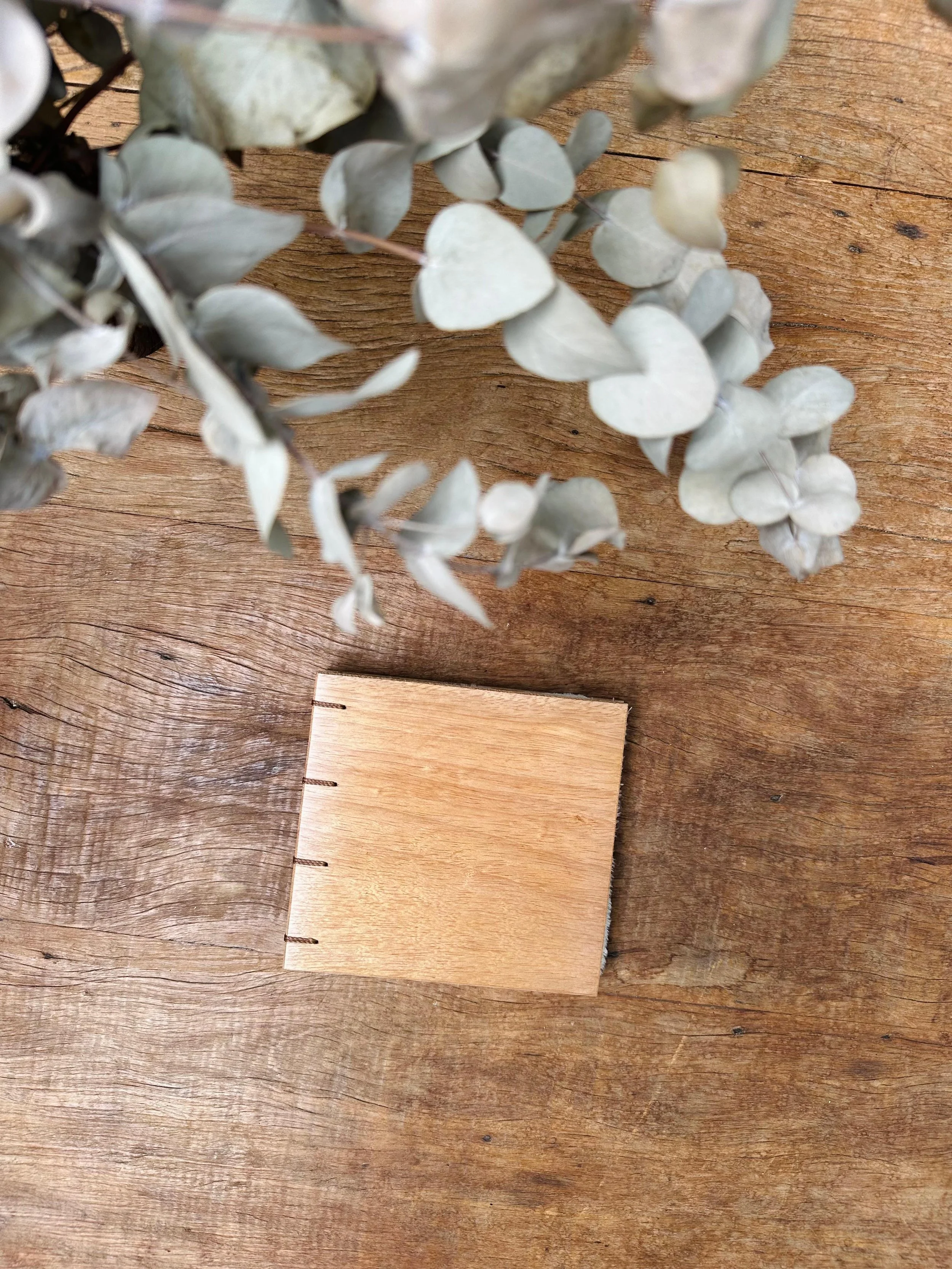 WhatsApp Image 2026-02-10 at 15.40.21.jpeg