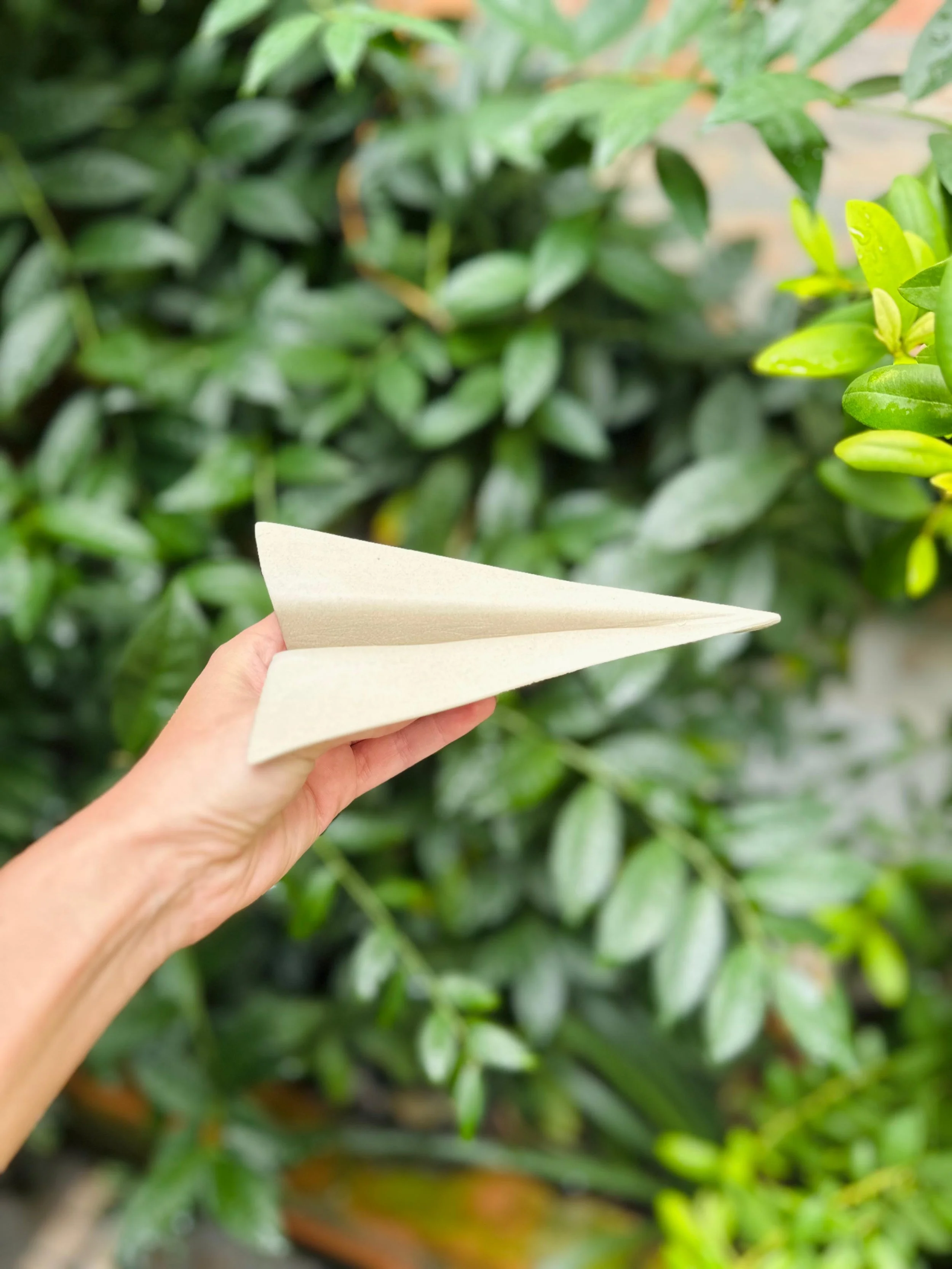 WhatsApp Image 2026-02-10 at 15.42.05-3.jpeg