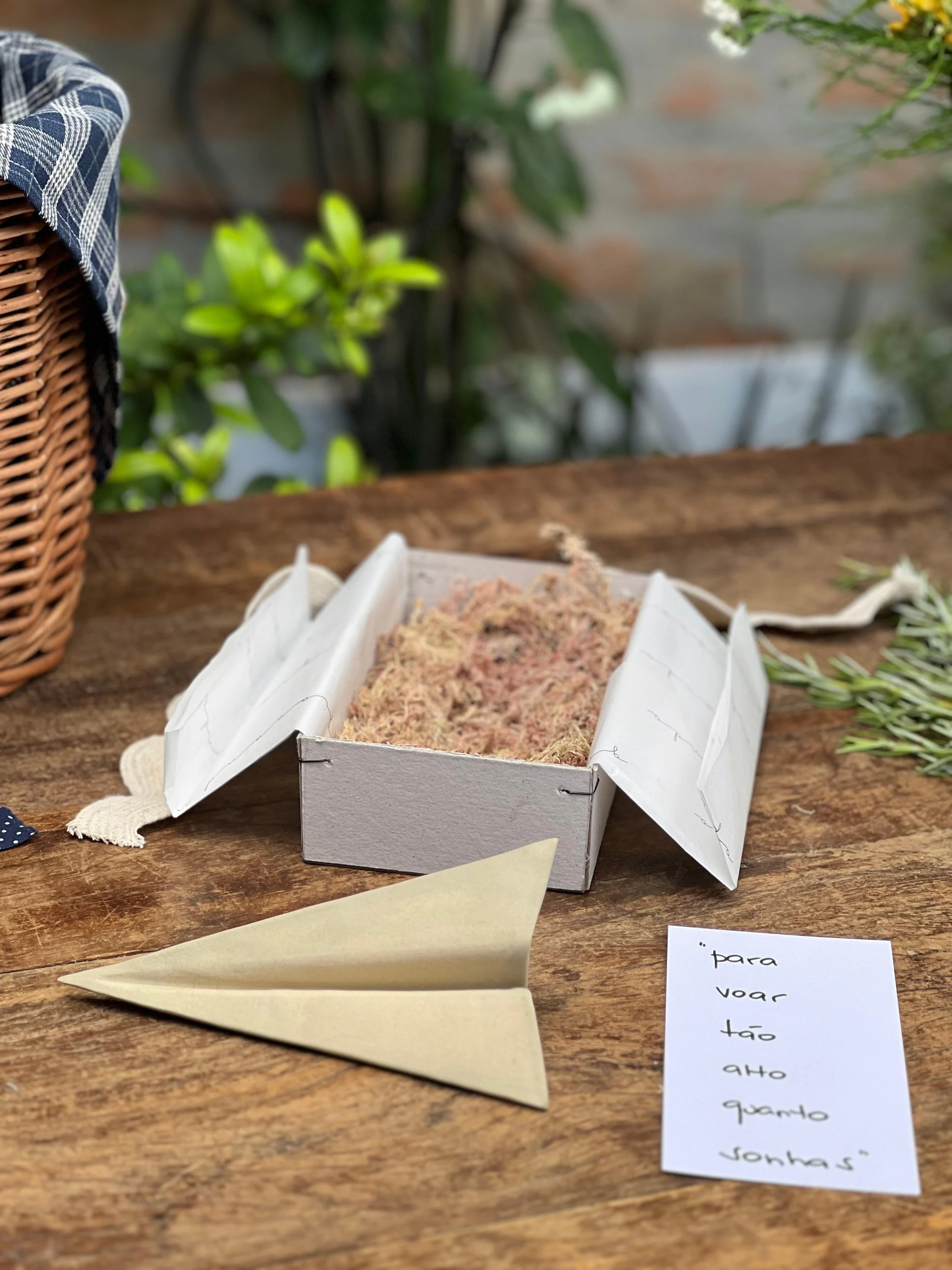 WhatsApp Image 2026-02-11 at 15.39.04.jpeg