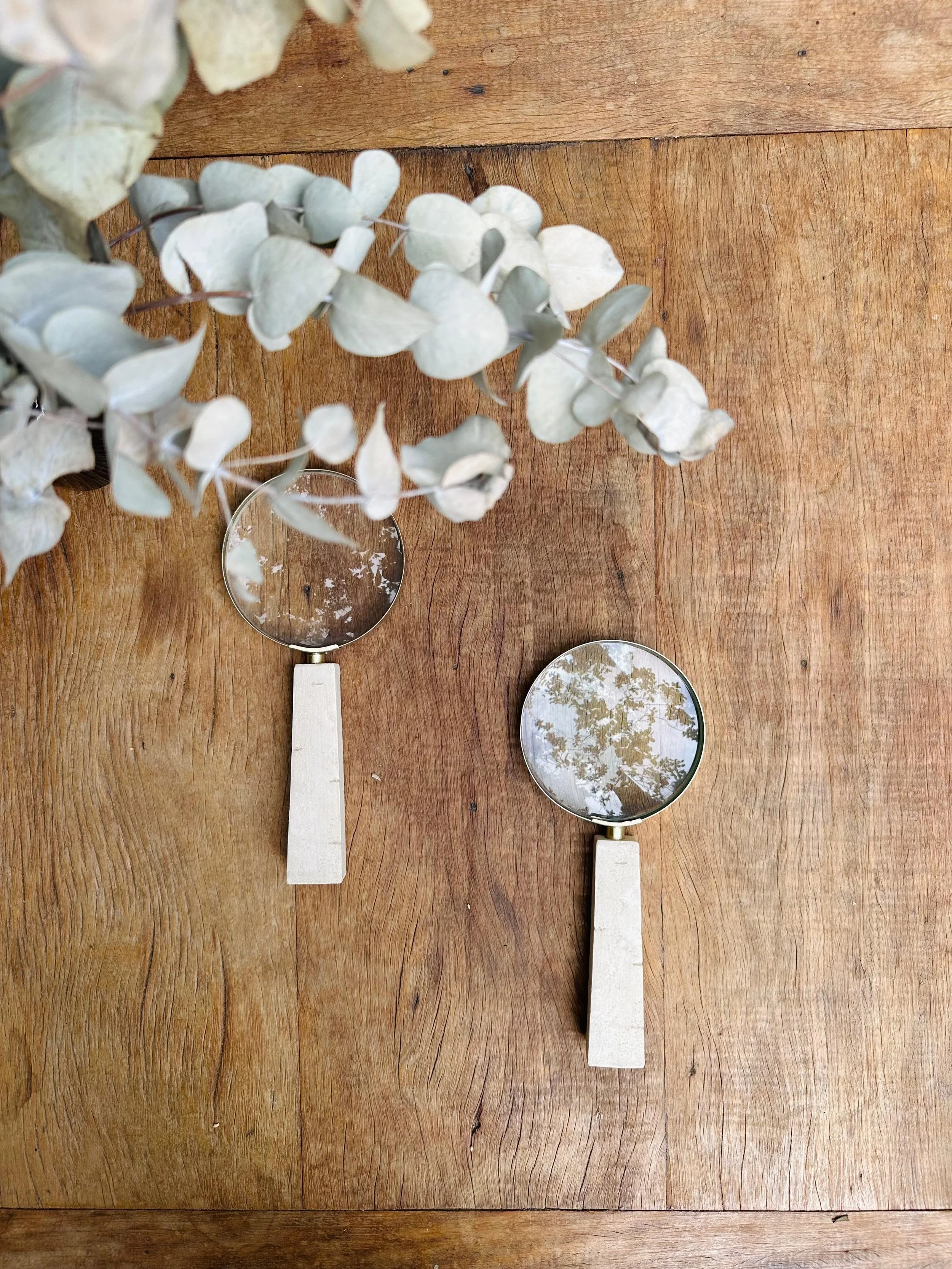 WhatsApp Image 2026-02-10 at 15.37.55-2.jpeg