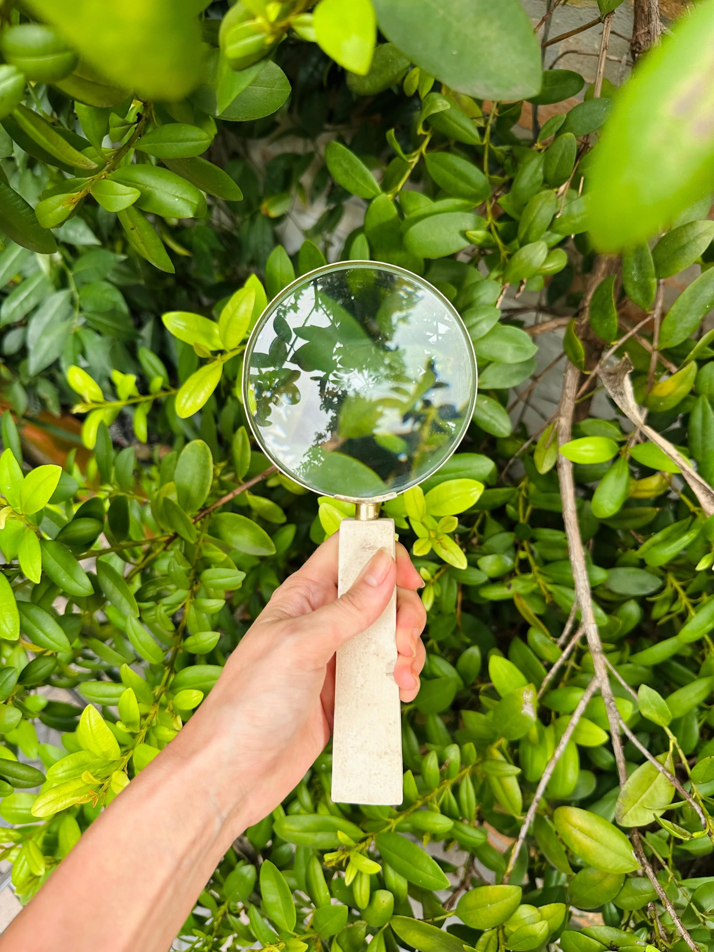 WhatsApp Image 2026-02-10 at 15.37.55-3.jpeg