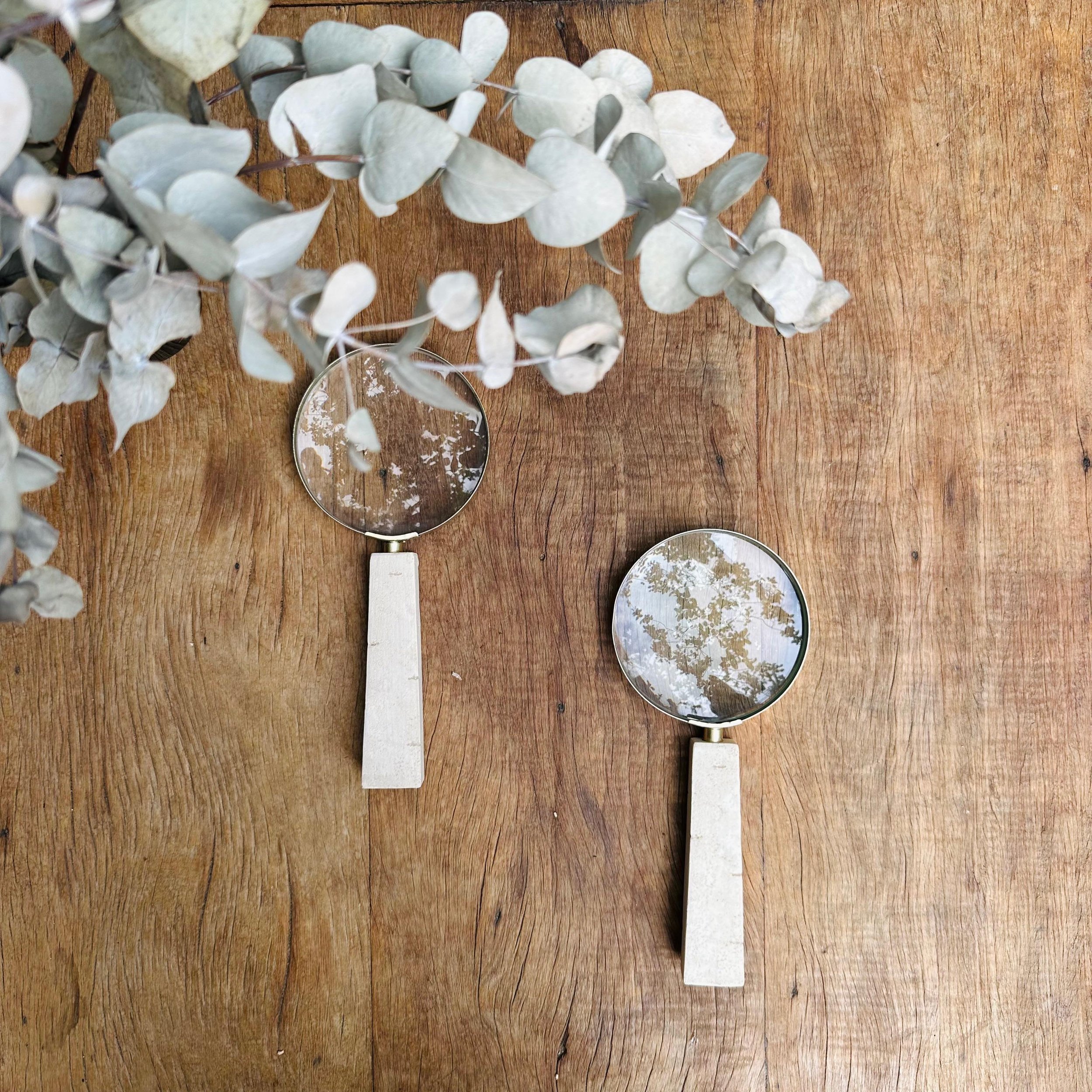 WhatsApp Image 2026-02-10 at 15.37.55.jpeg