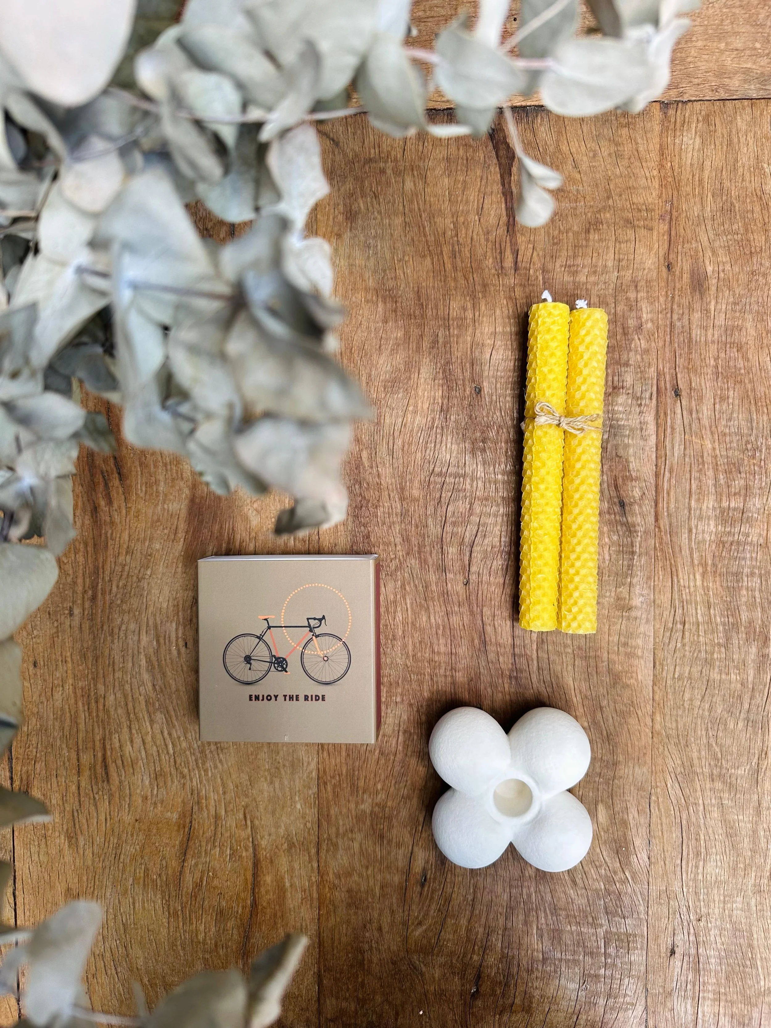 WhatsApp Image 2026-02-10 at 15.35.14-4.jpeg