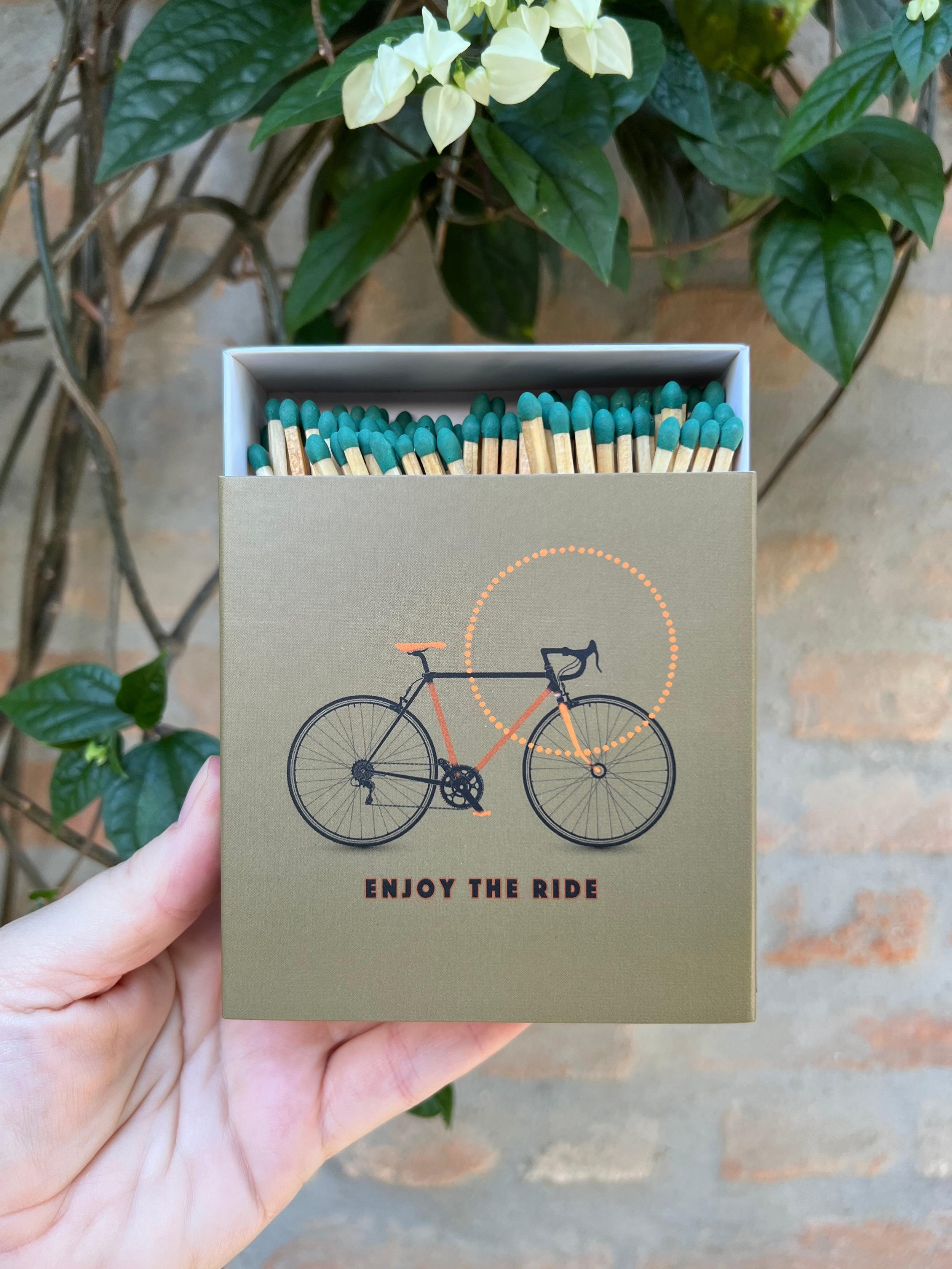 WhatsApp Image 2026-02-11 at 15.39.02.jpeg