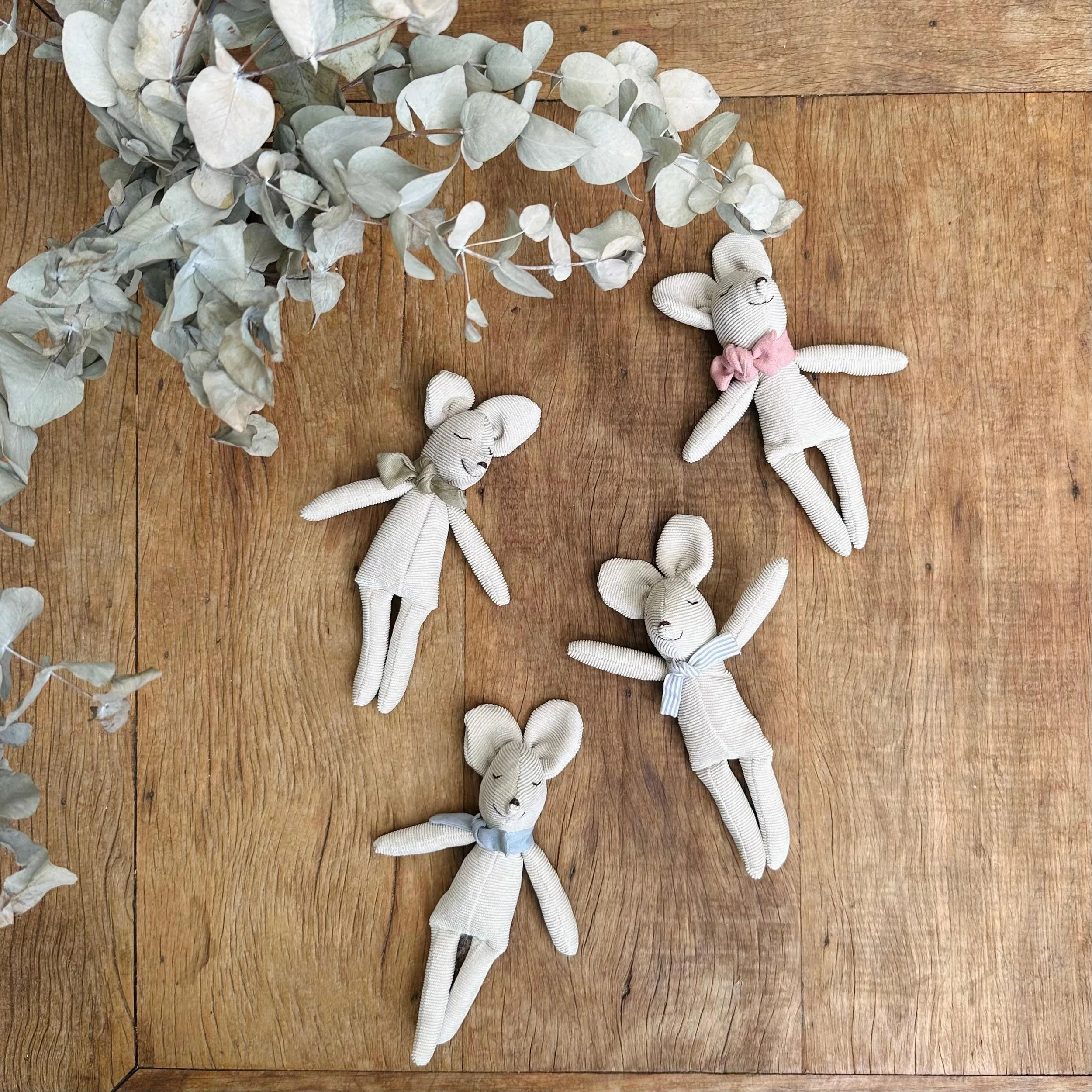 WhatsApp Image 2026-02-10 at 15.39.05-3.jpeg